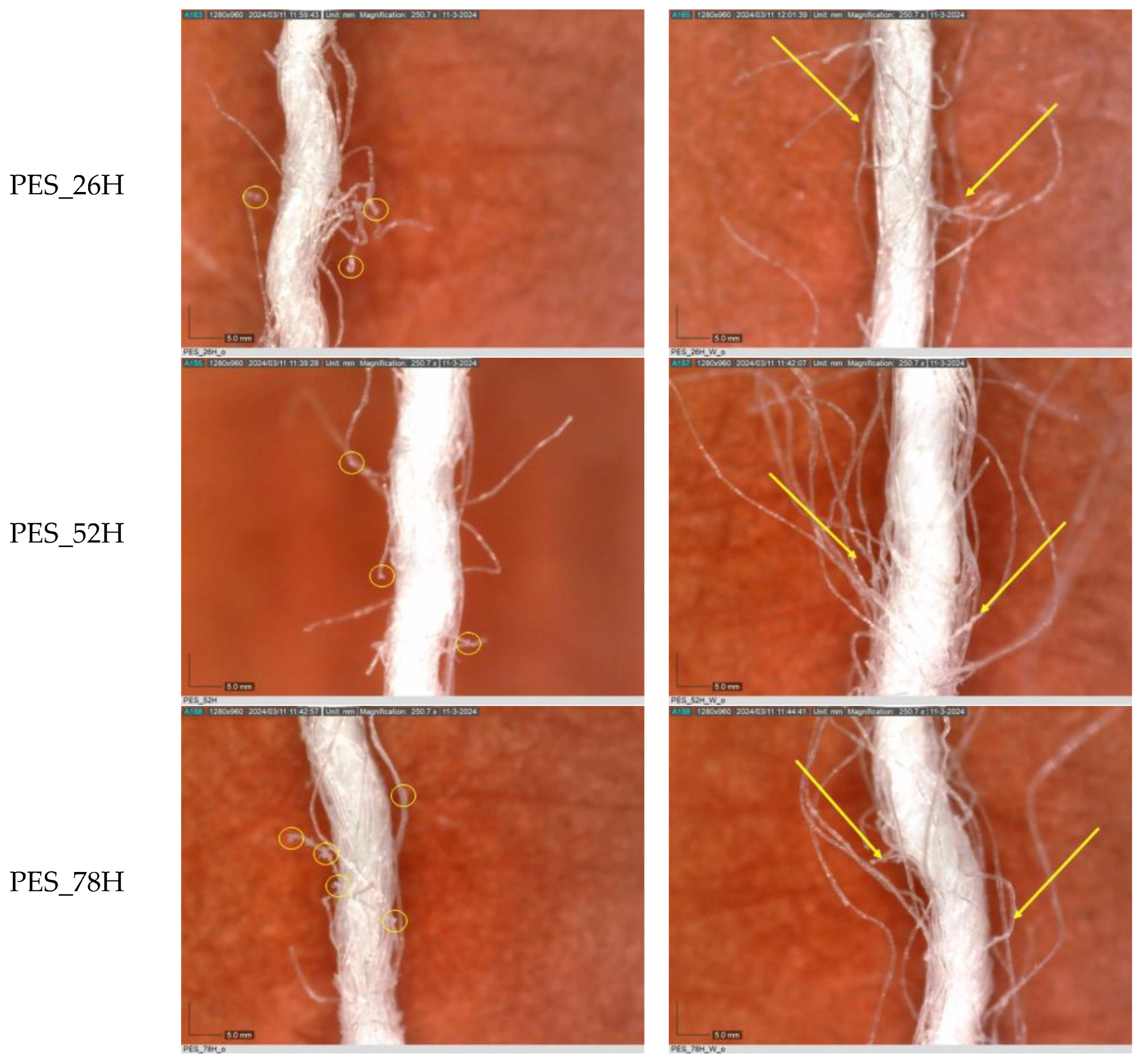 Polymers 16 03238 g004a