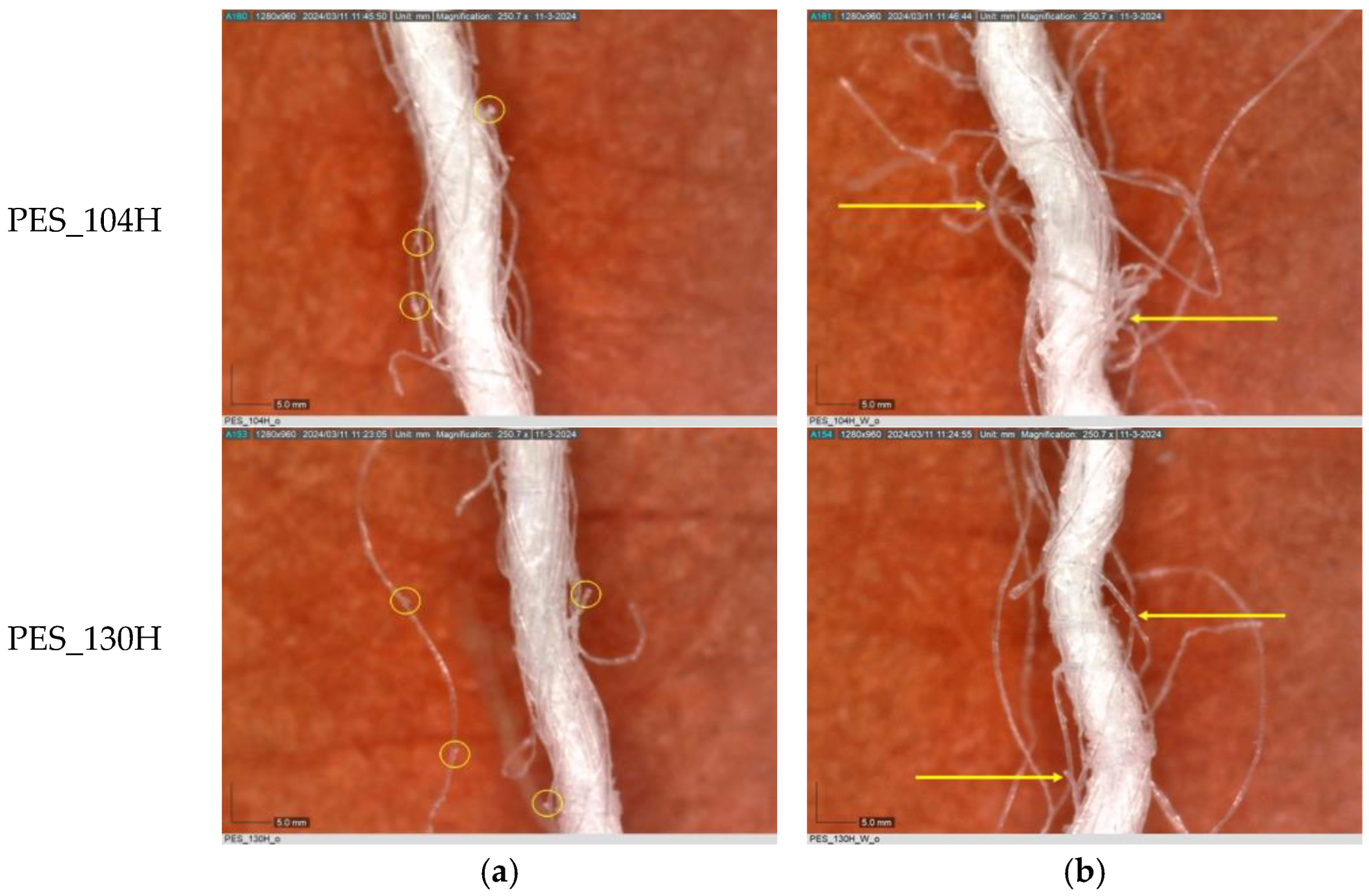 Polymers 16 03238 g004b