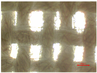 Polymers 16 03238 i003