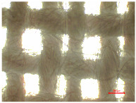 Polymers 16 03238 i005