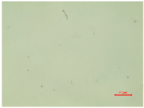 Polymers 16 03238 i015