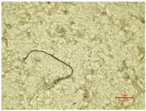 Polymers 16 03238 i016