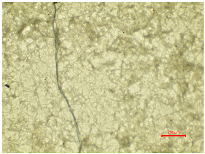 Polymers 16 03238 i024