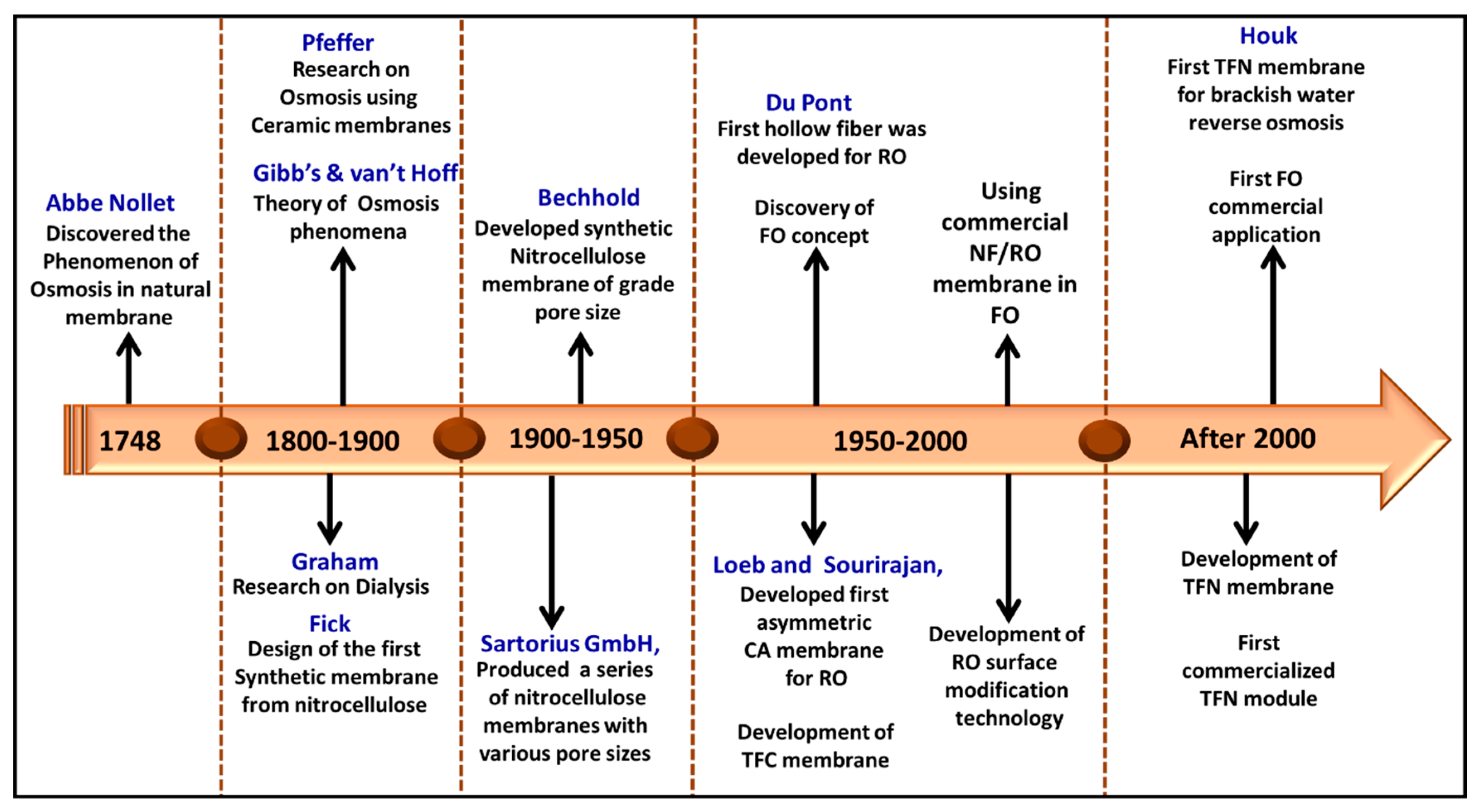 Polymers 16 03240 g001
