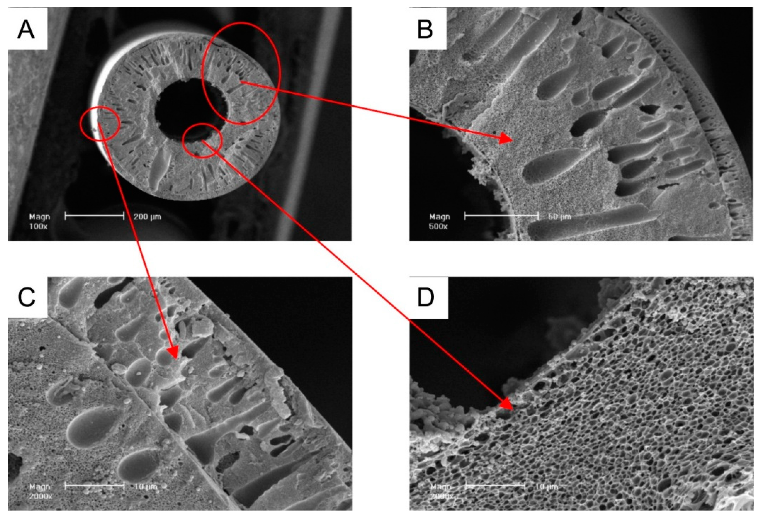 Polymers 16 03240 g006