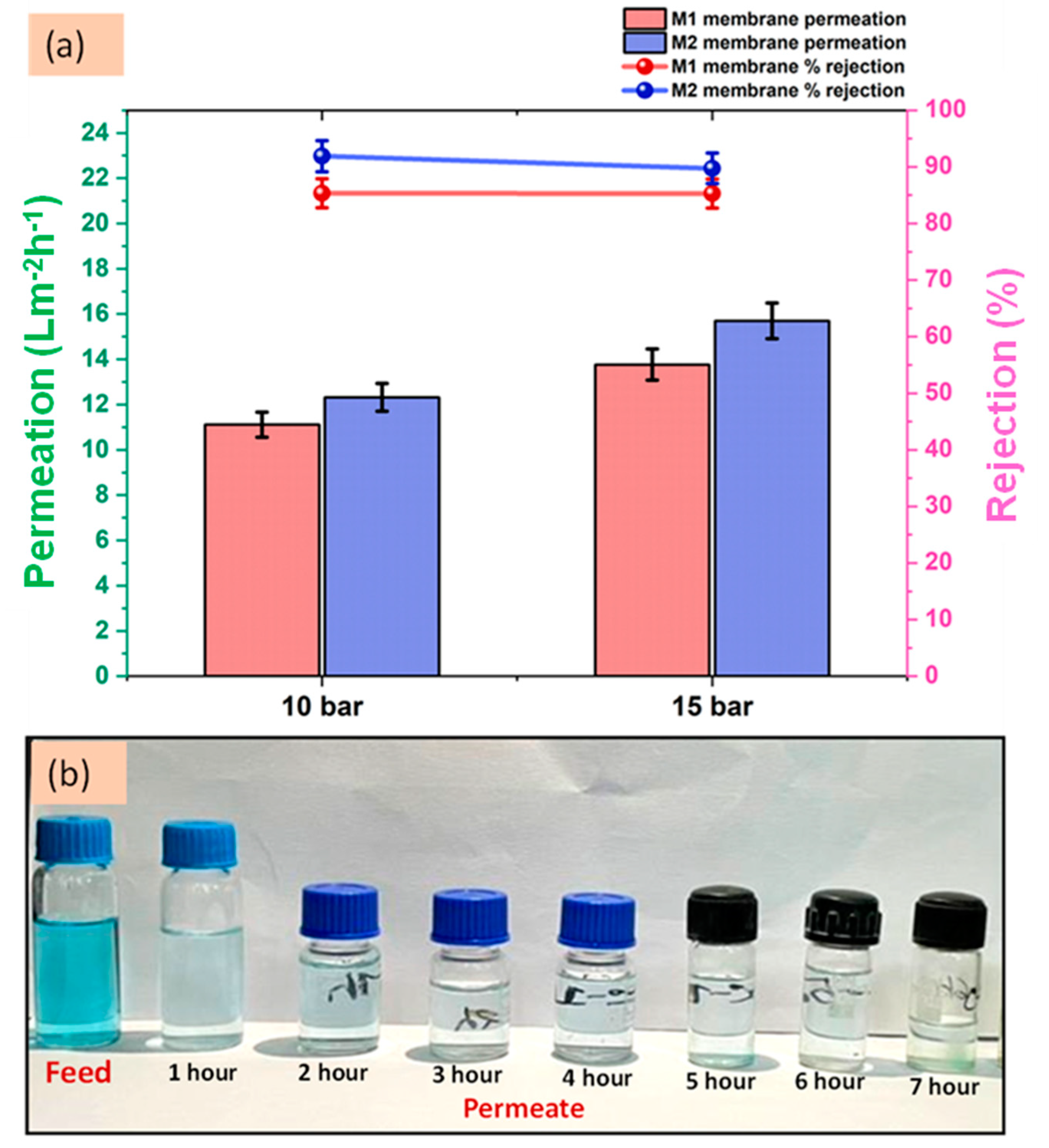 Polymers 16 03240 g016