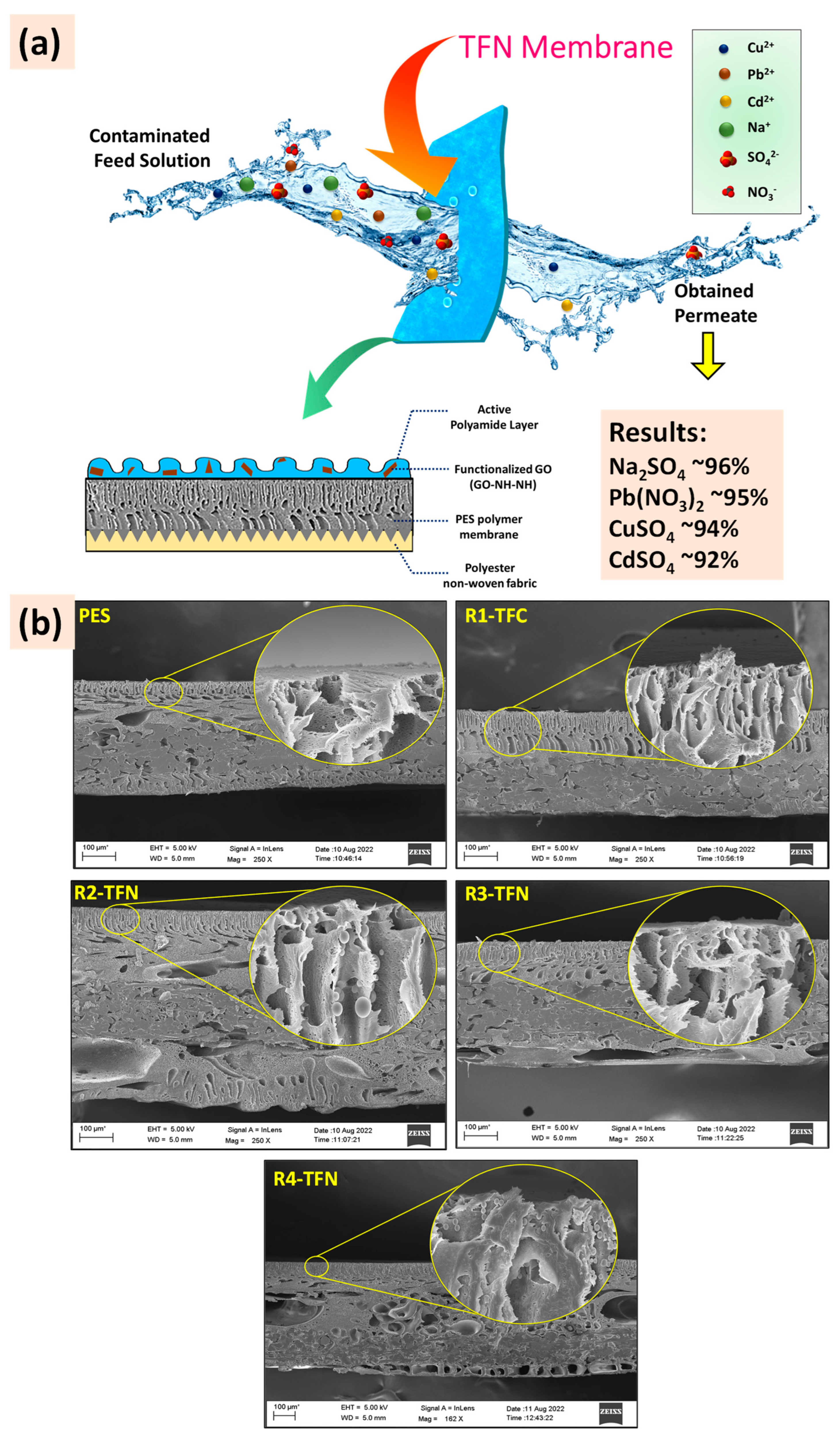 Polymers 16 03240 g017