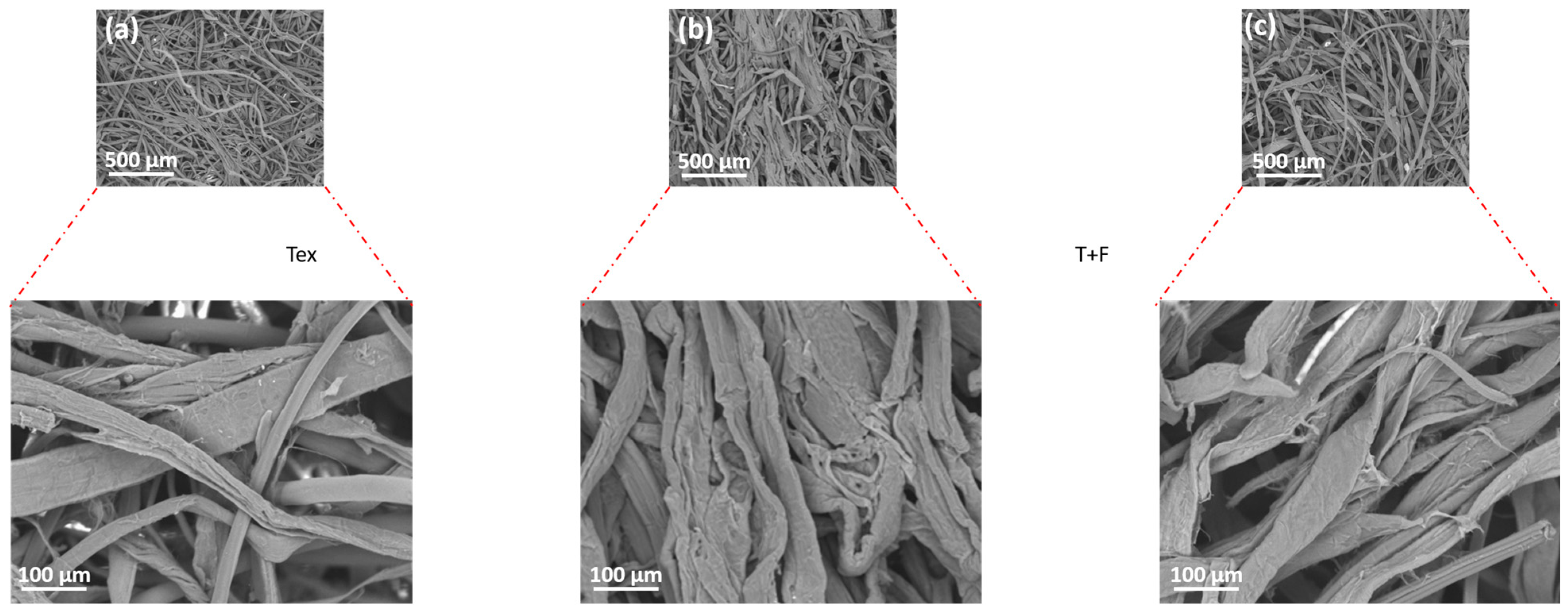 Polymers 16 03242 g004