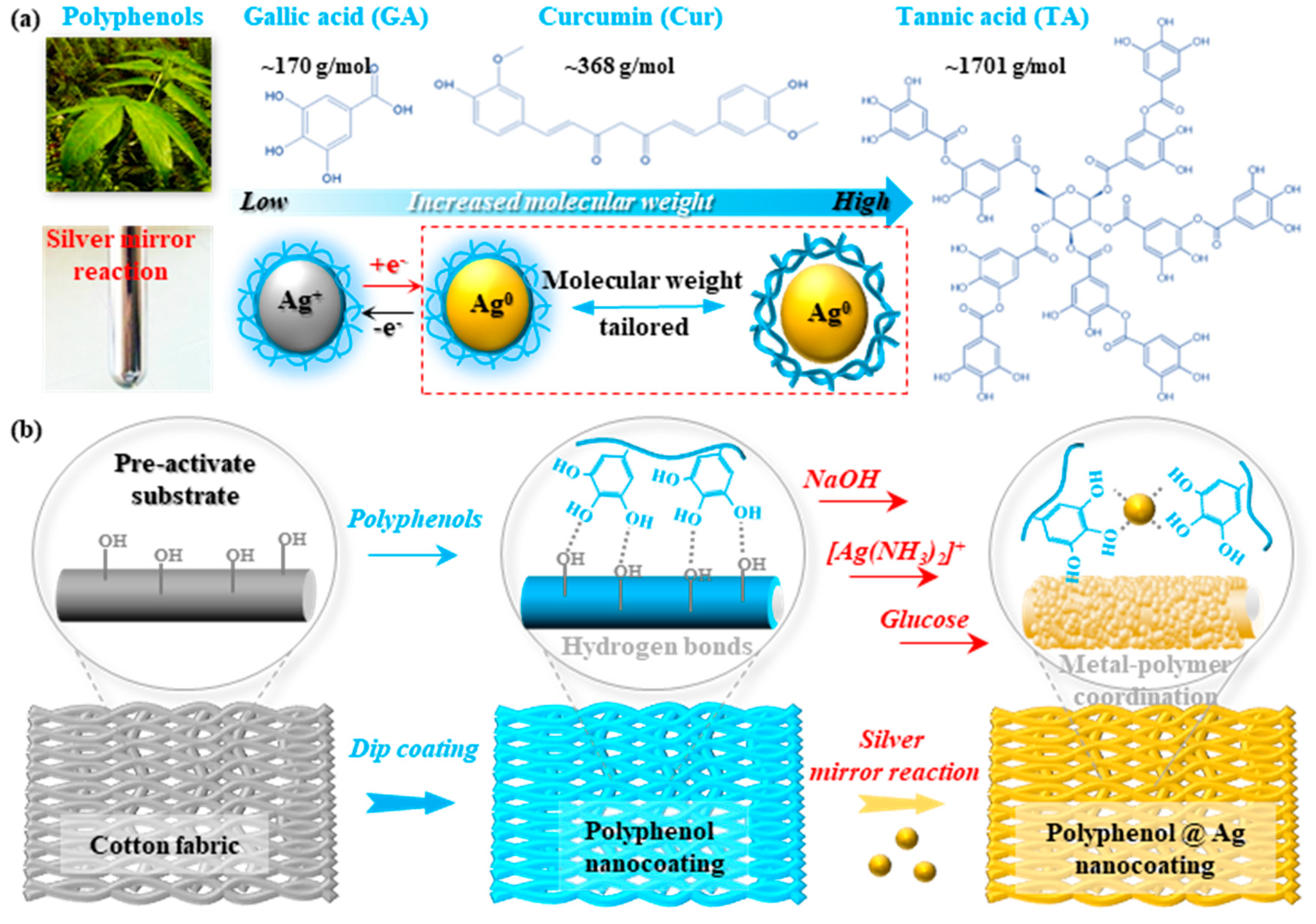 Polymers 16 03244 g001