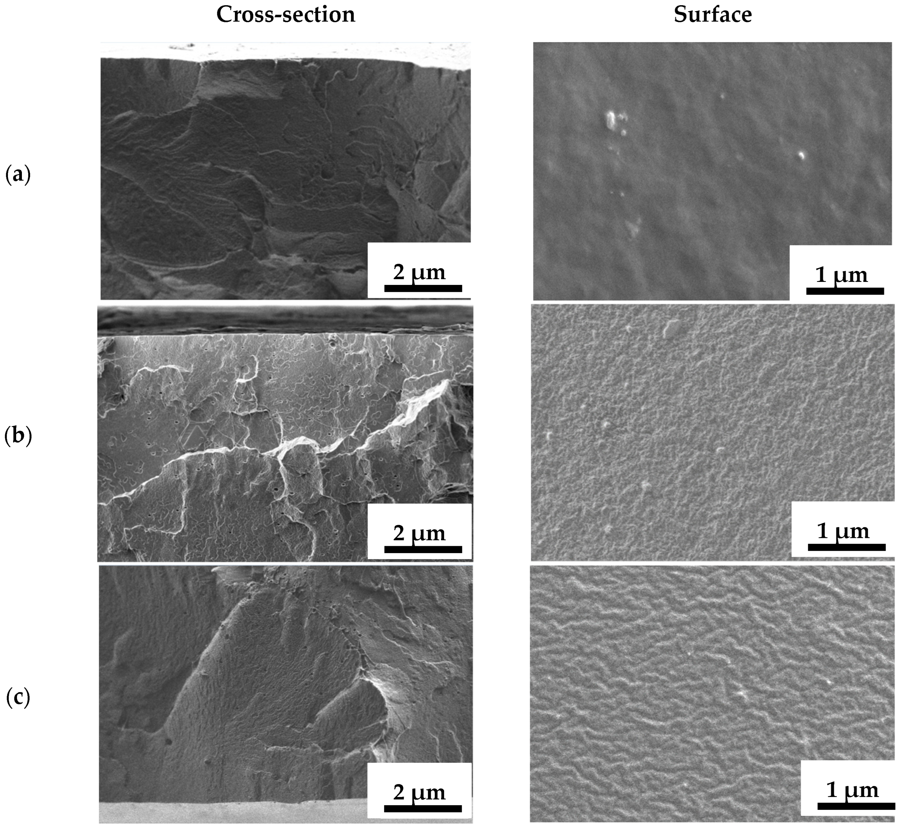 Polymers 16 03245 g003a