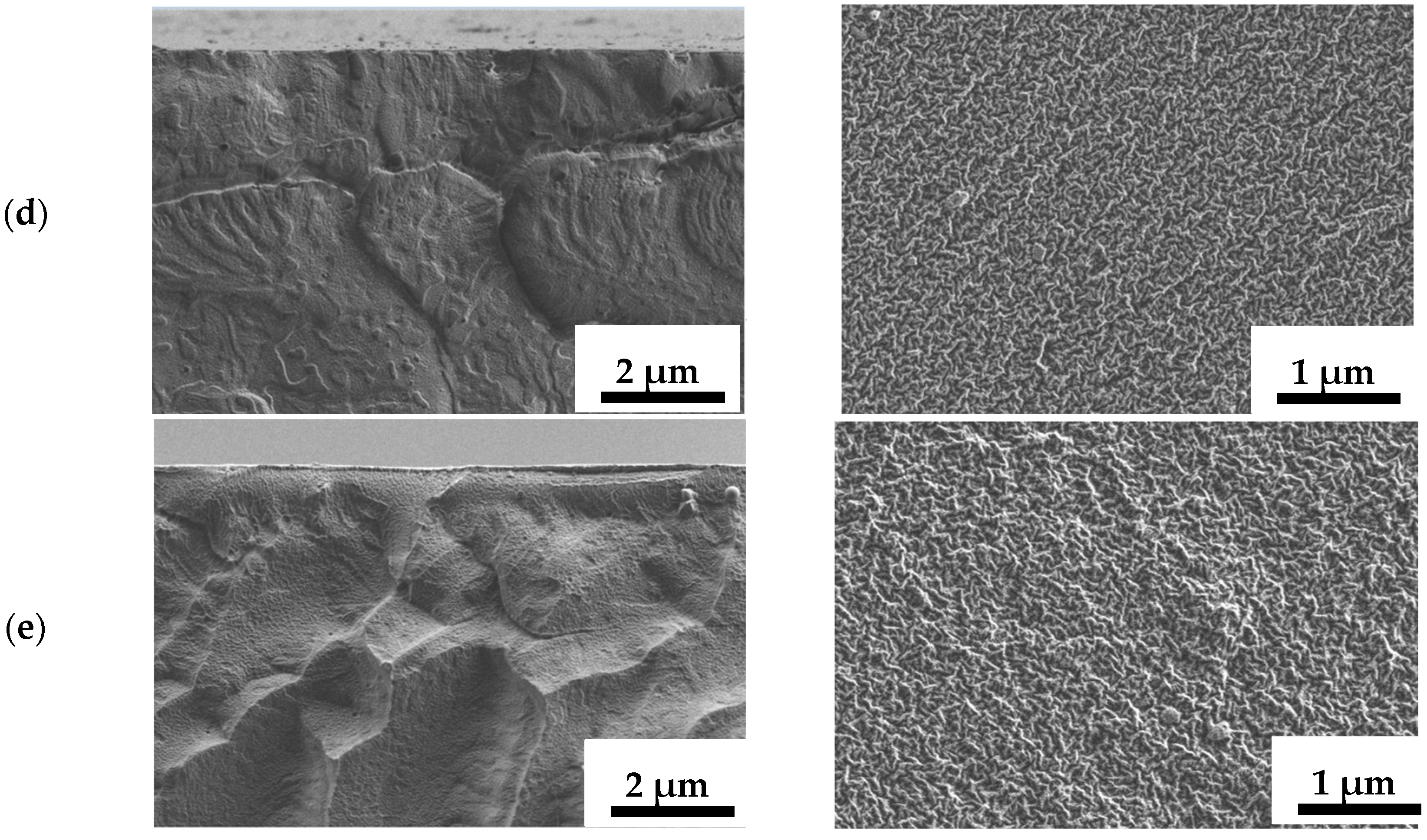 Polymers 16 03245 g003b
