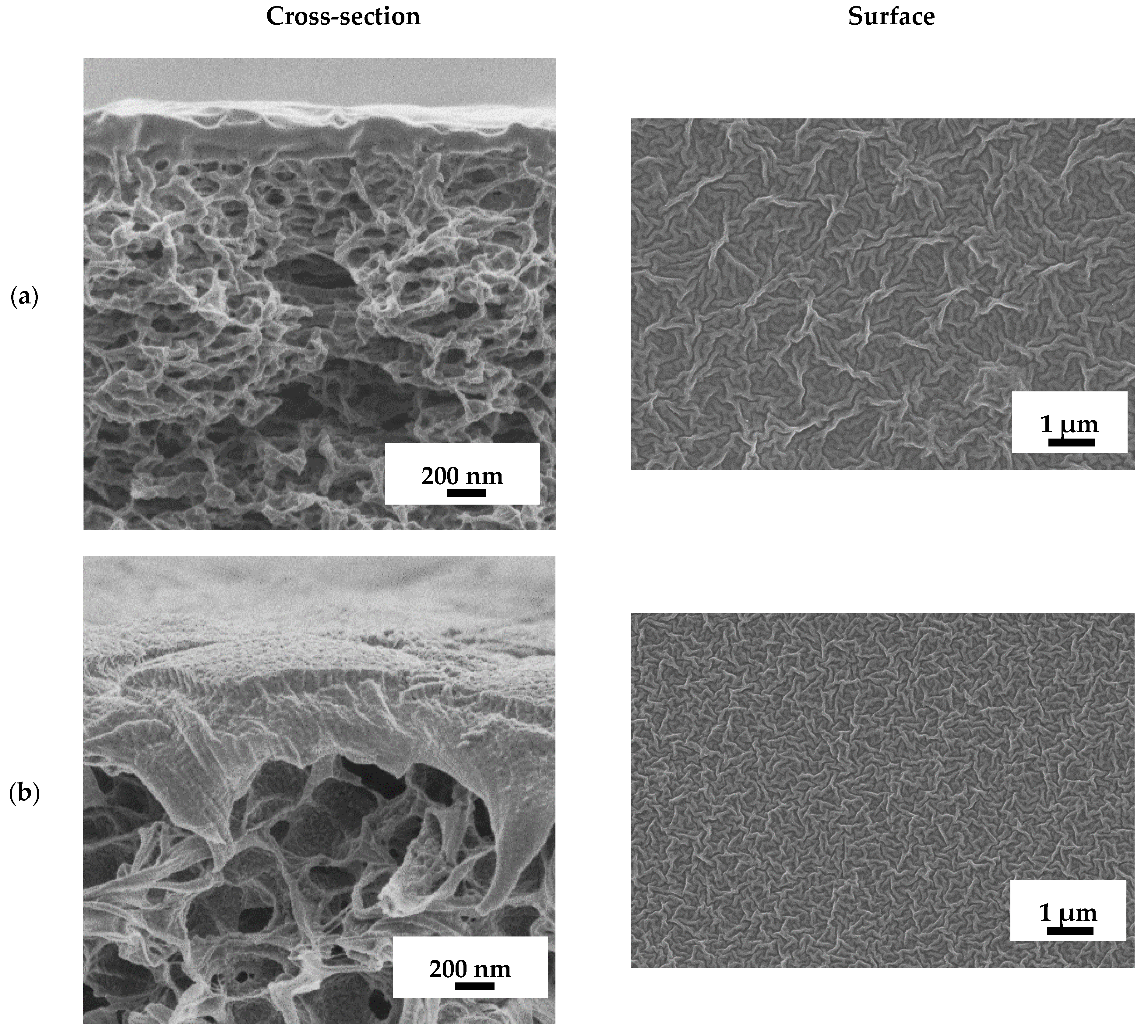 Polymers 16 03245 g008a