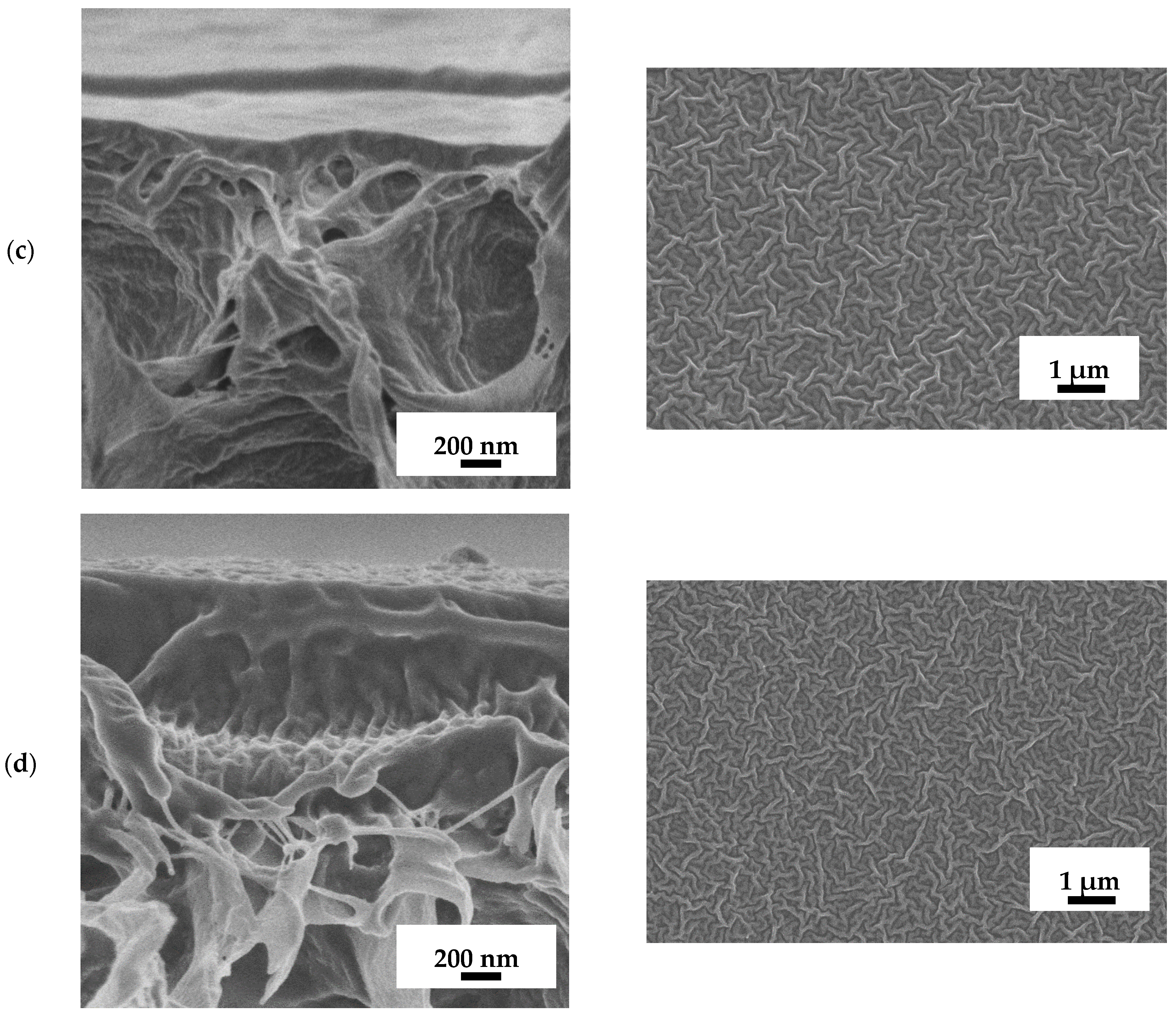 Polymers 16 03245 g008b
