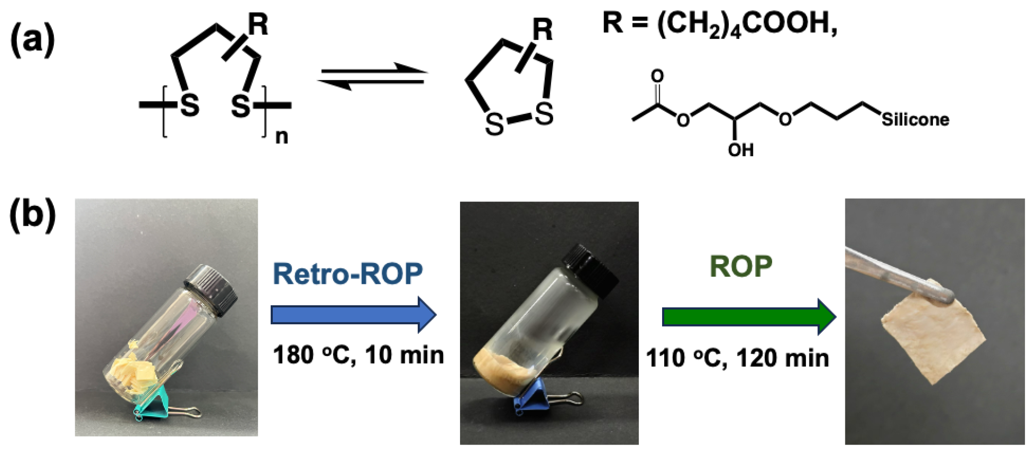 Polymers 16 03254 g012