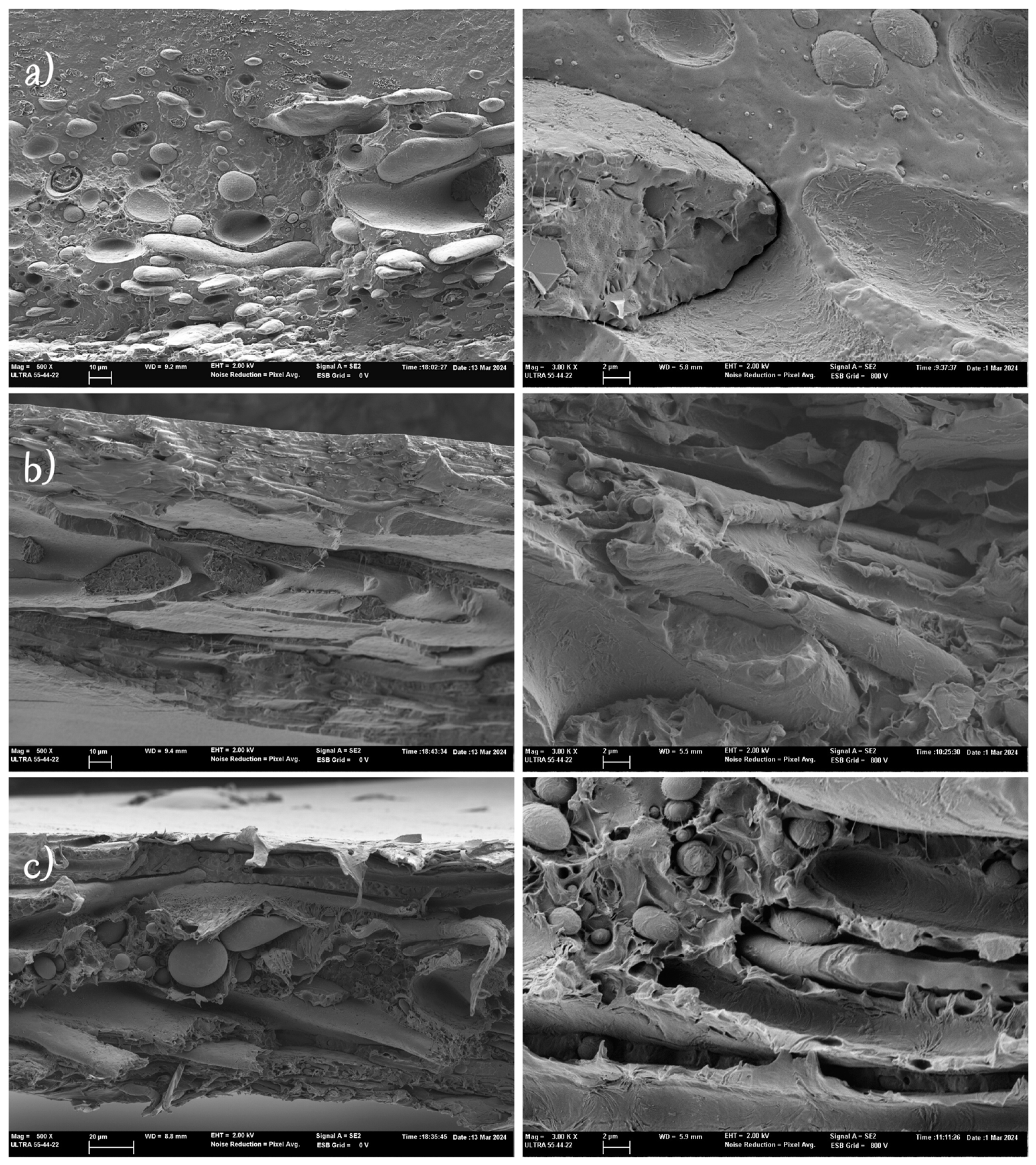Polymers 16 03255 g001