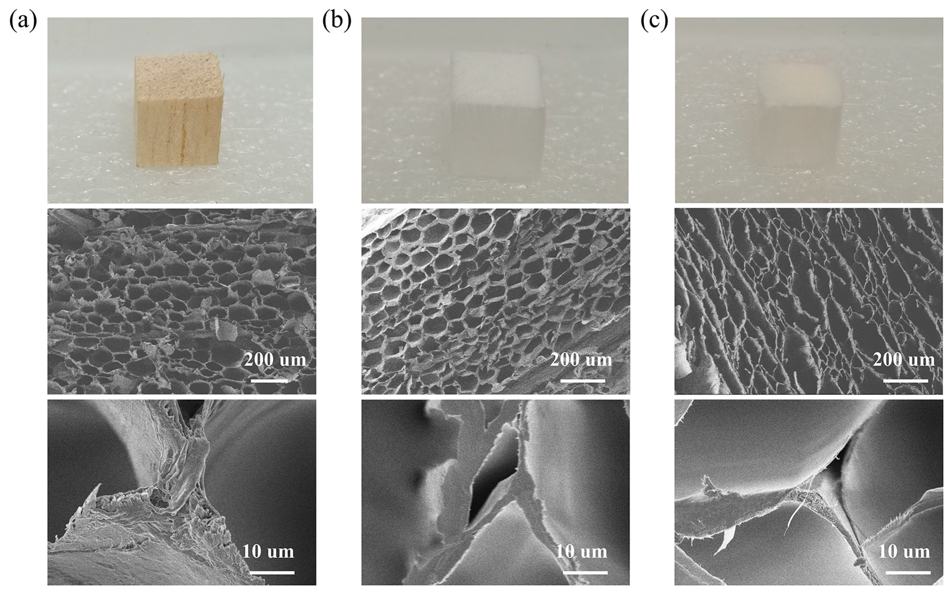 Polymers 16 03256 g001