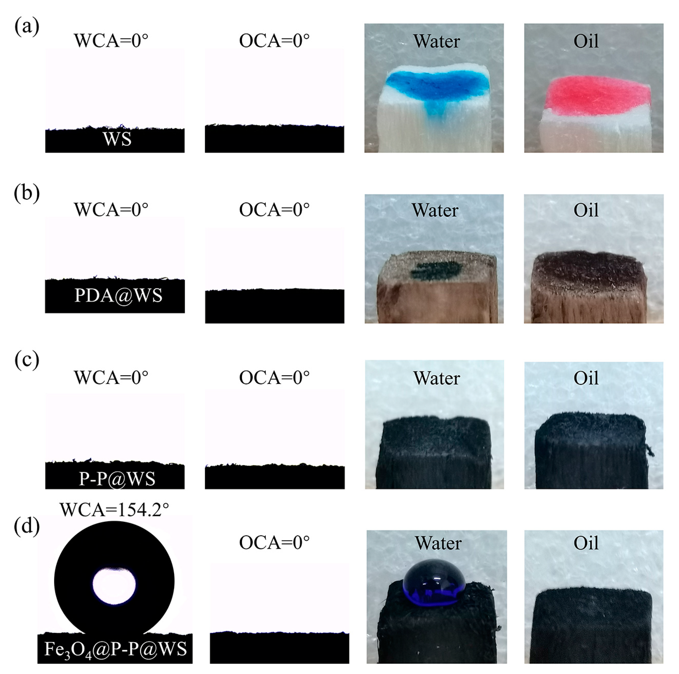 Polymers 16 03256 g006