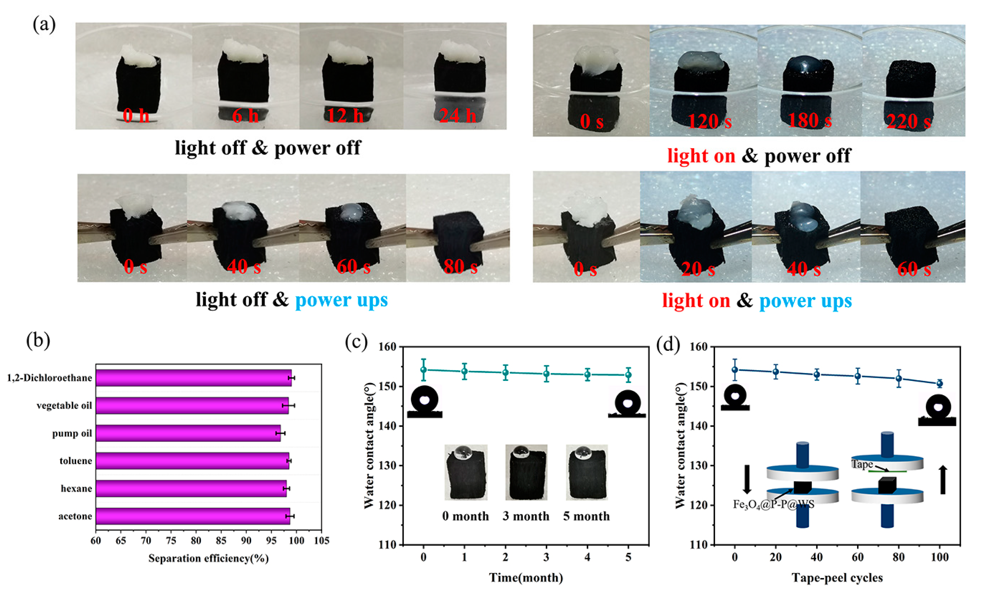 Polymers 16 03256 g012