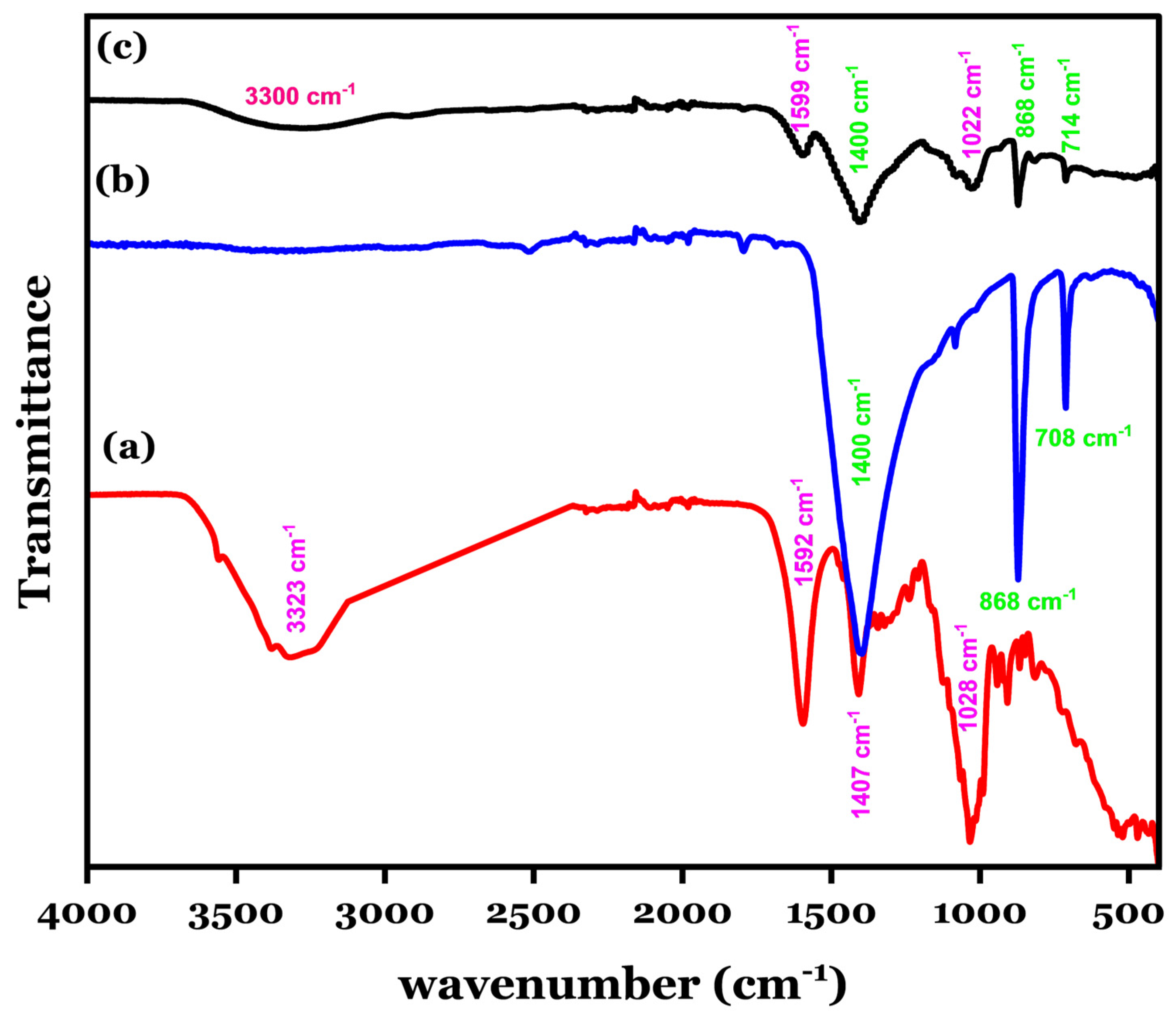 Polymers 16 03257 g001