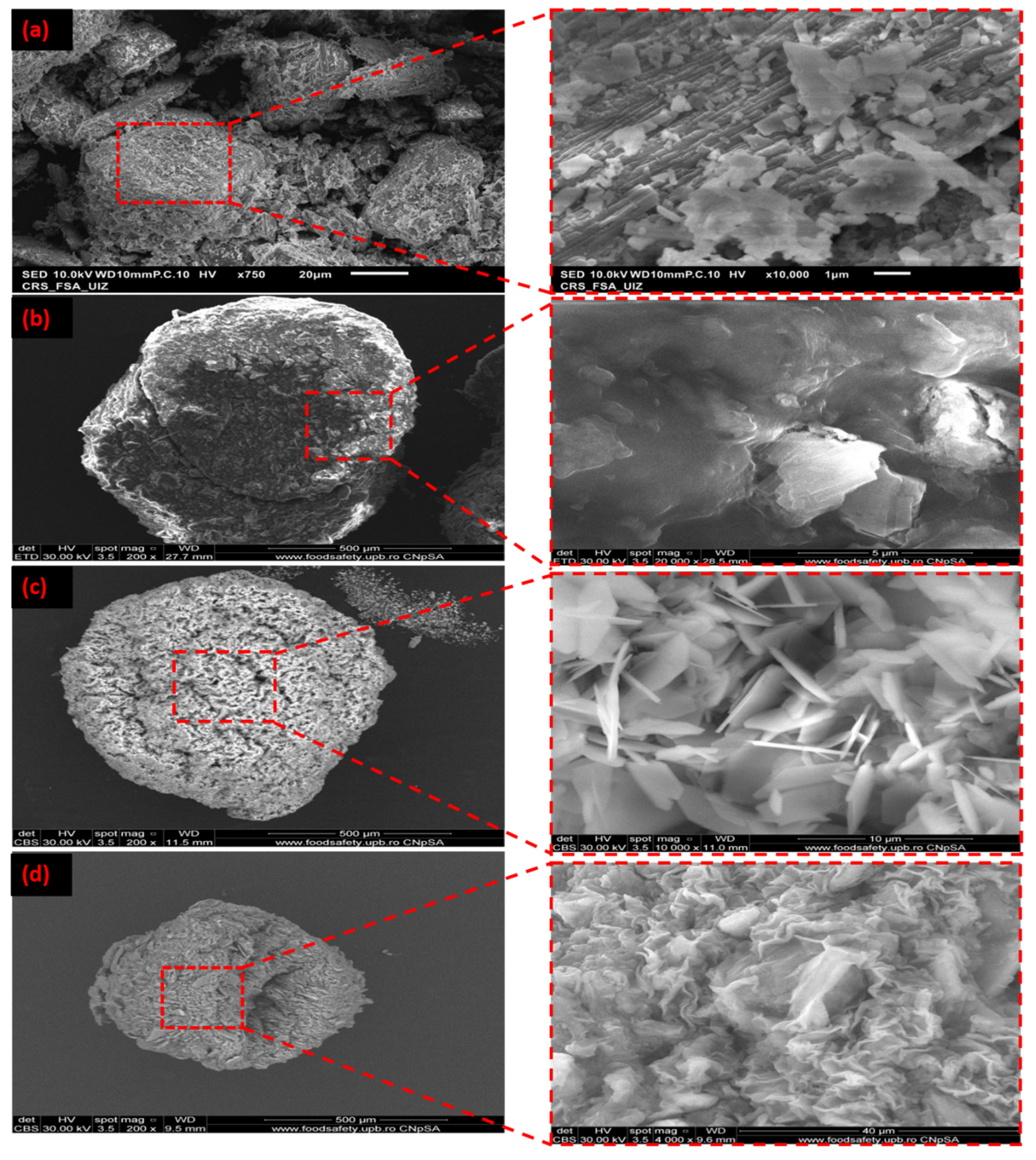 Polymers 16 03257 g003