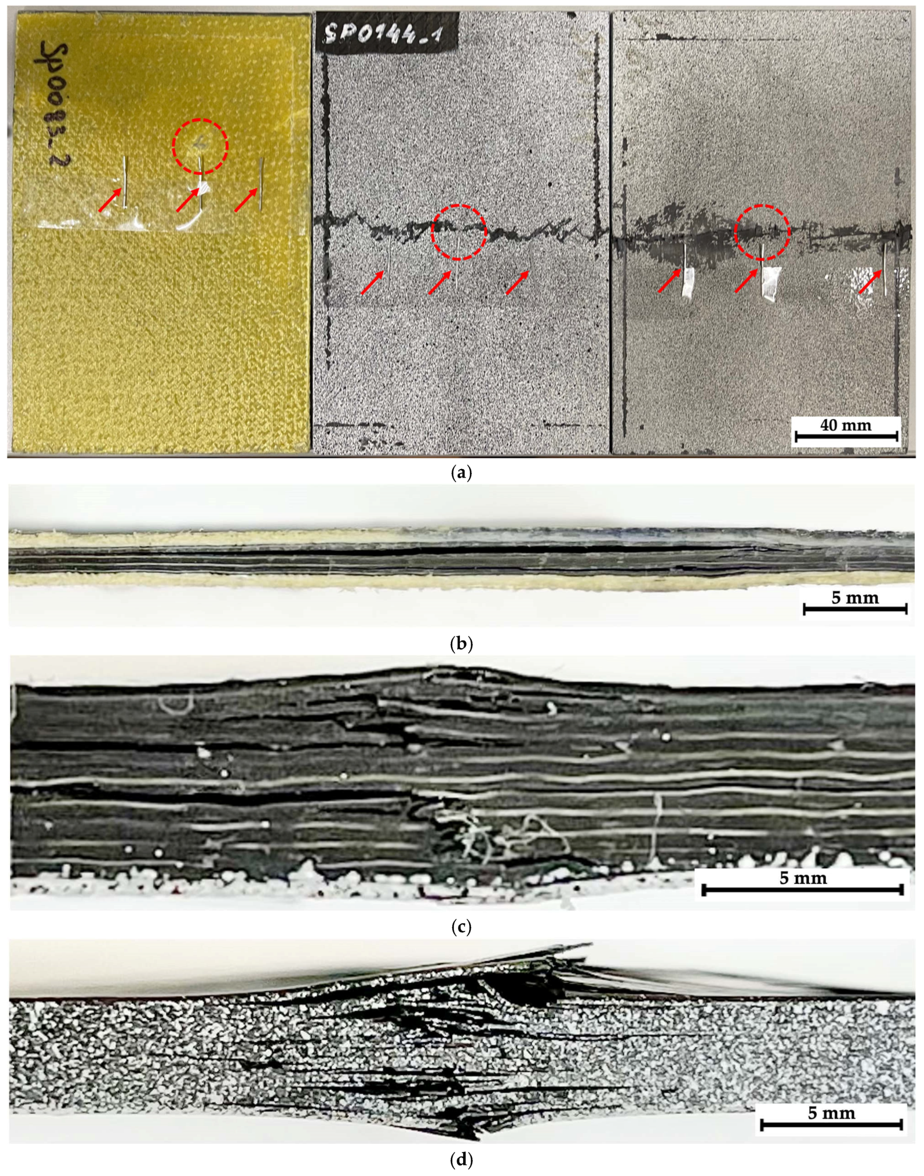 Polymers 16 03262 g005