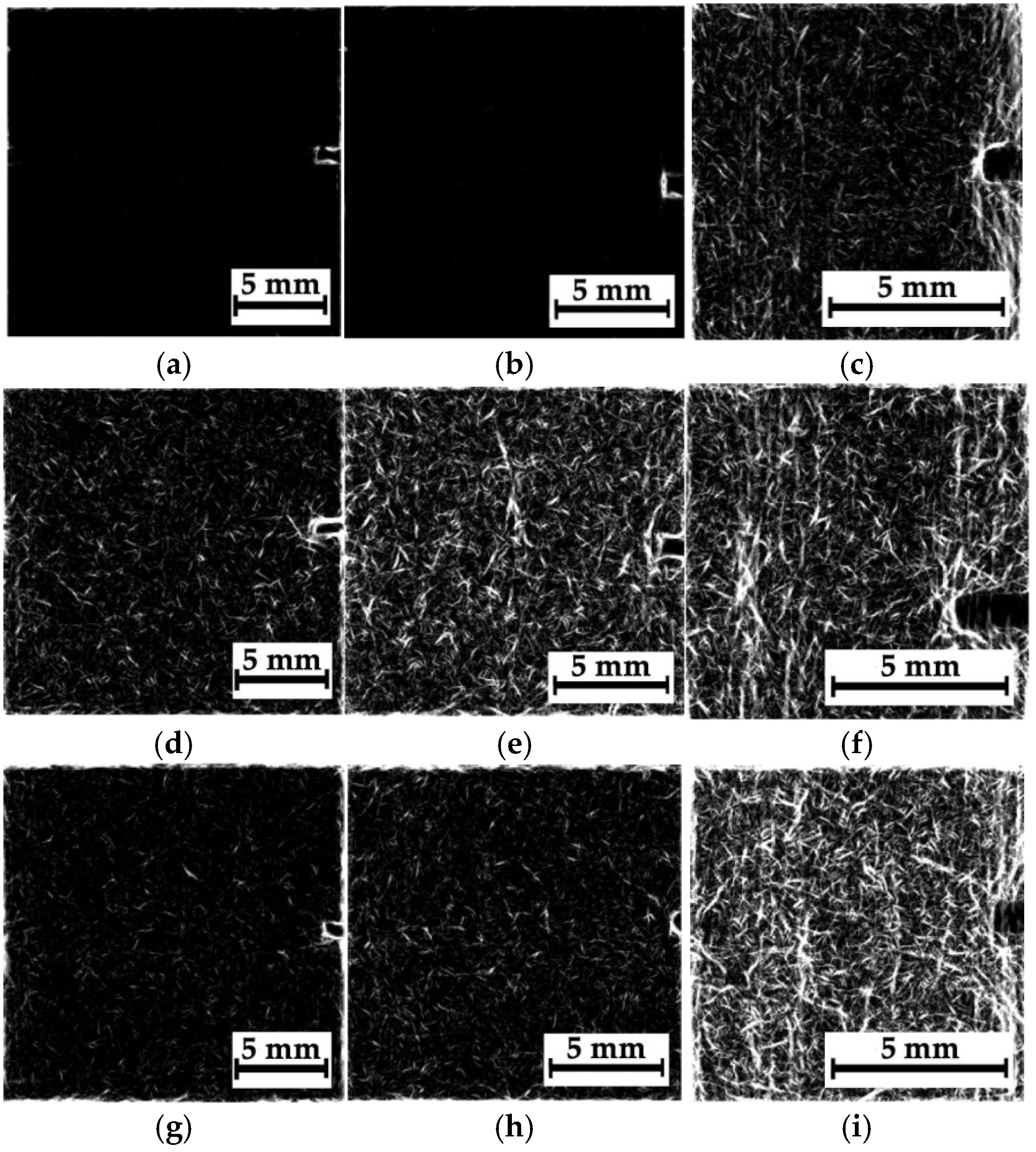 Polymers 16 03262 g009
