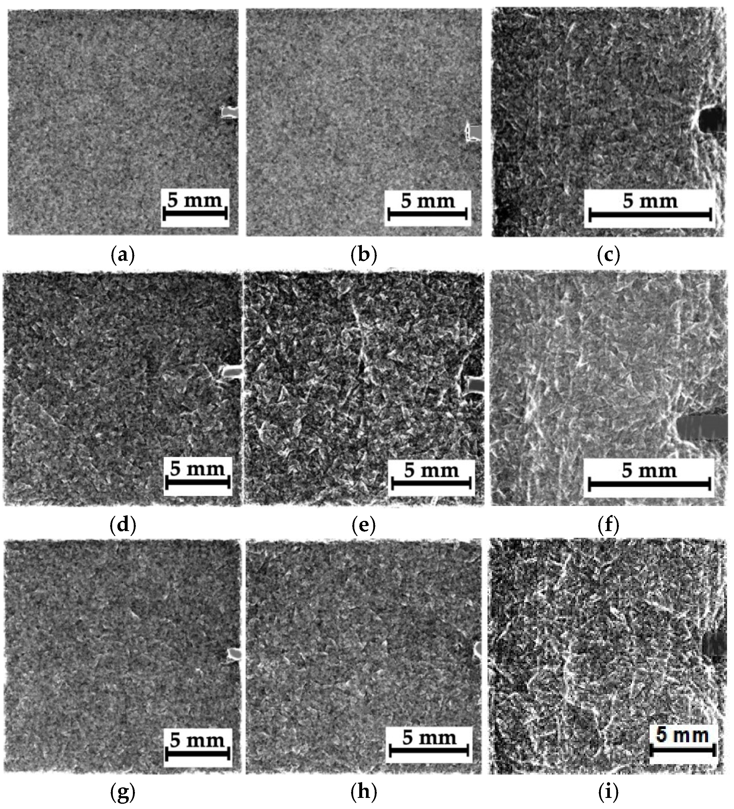 Polymers 16 03262 g010