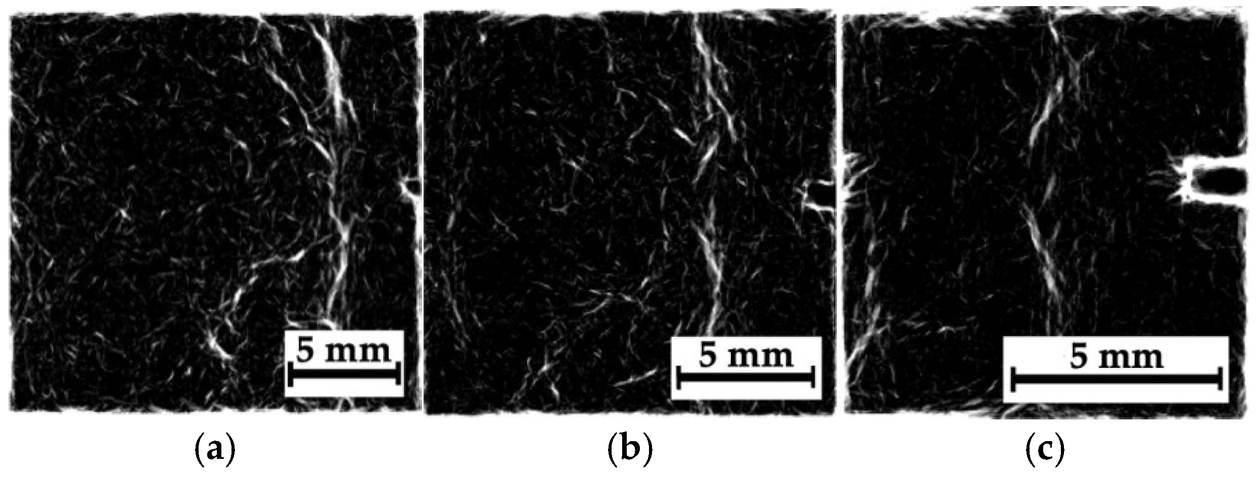 Polymers 16 03262 g012a