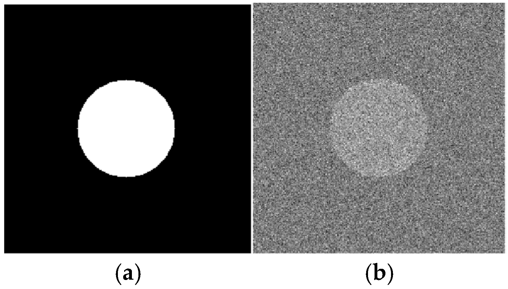 Polymers 16 03262 g020