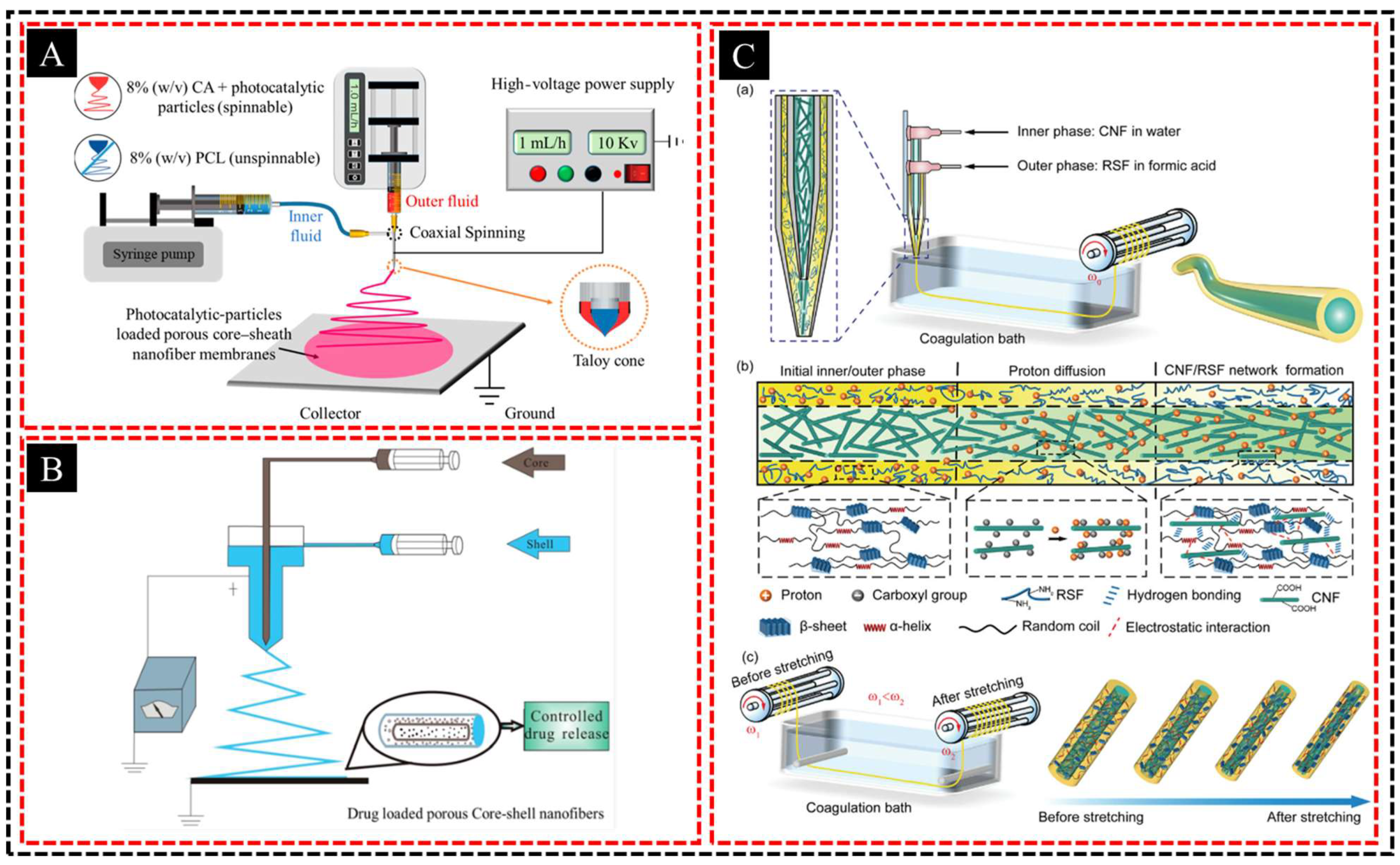Polymers 16 03269 g001