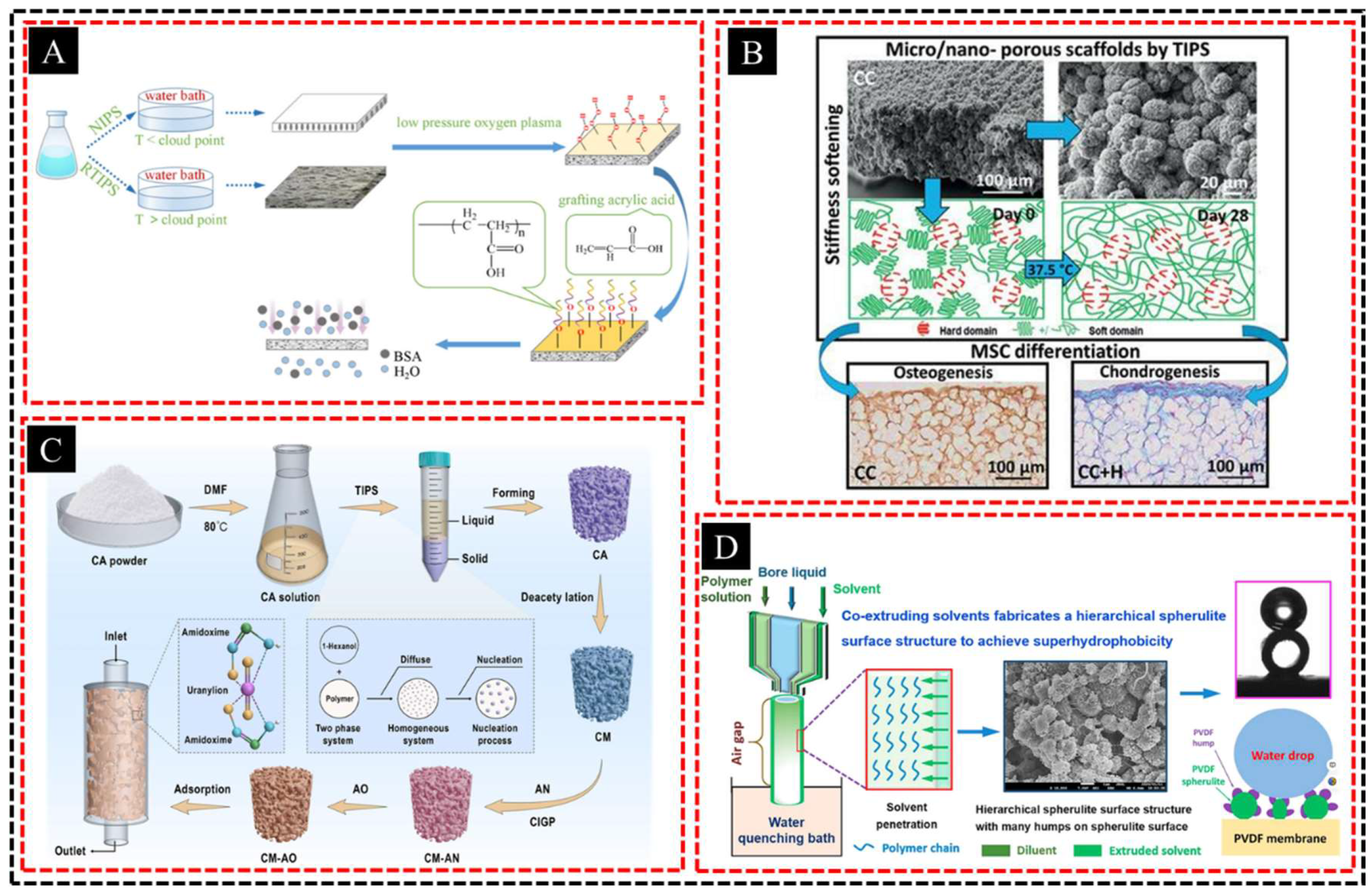 Polymers 16 03269 g003