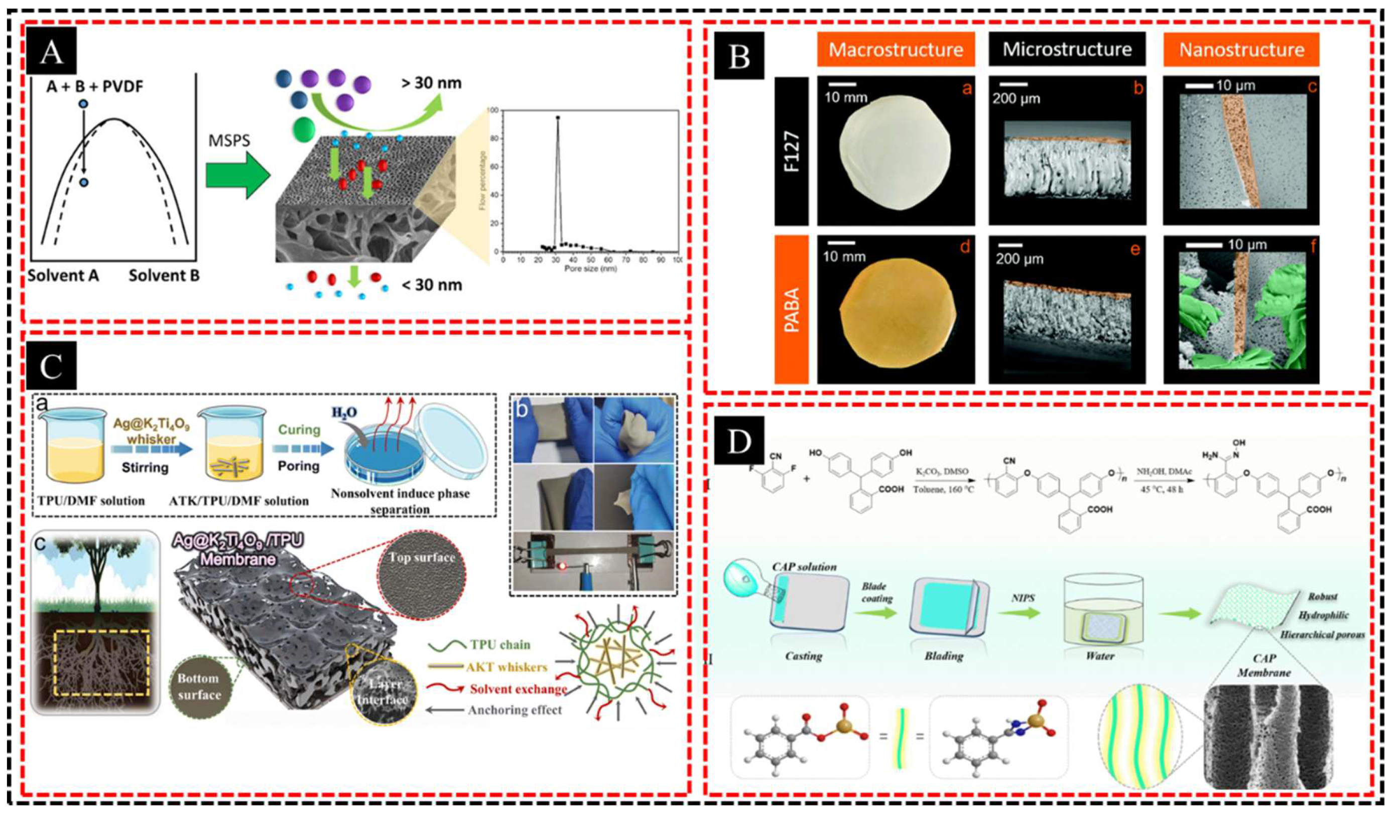 Polymers 16 03269 g004