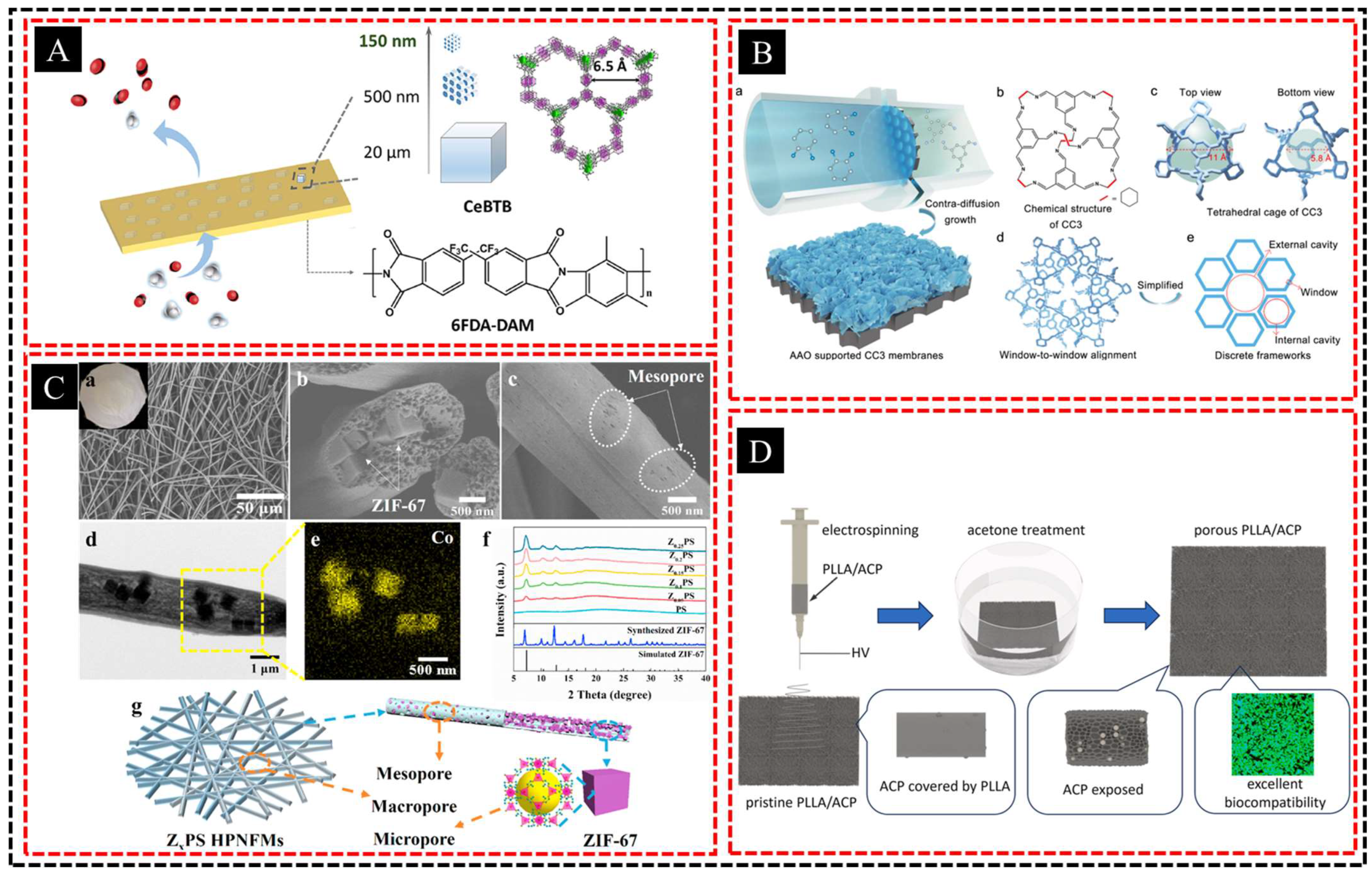 Polymers 16 03269 g005