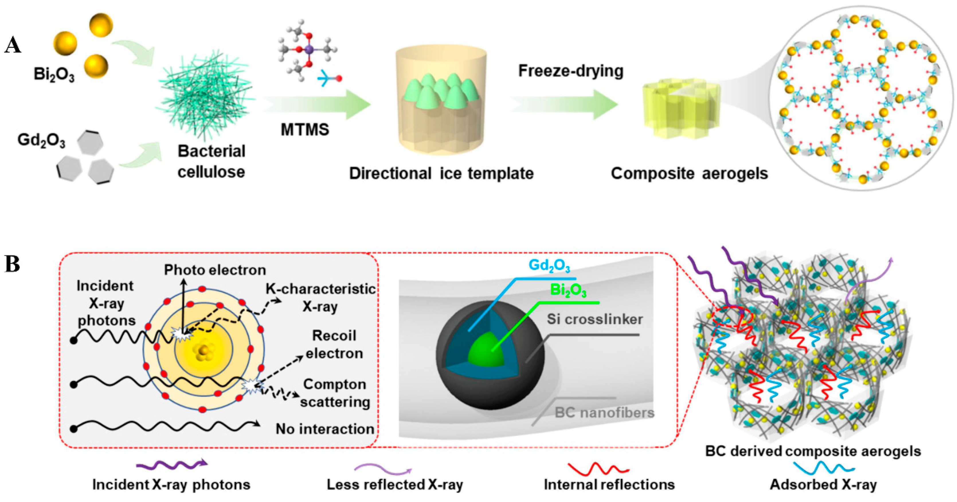 Polymers 16 03274 g002