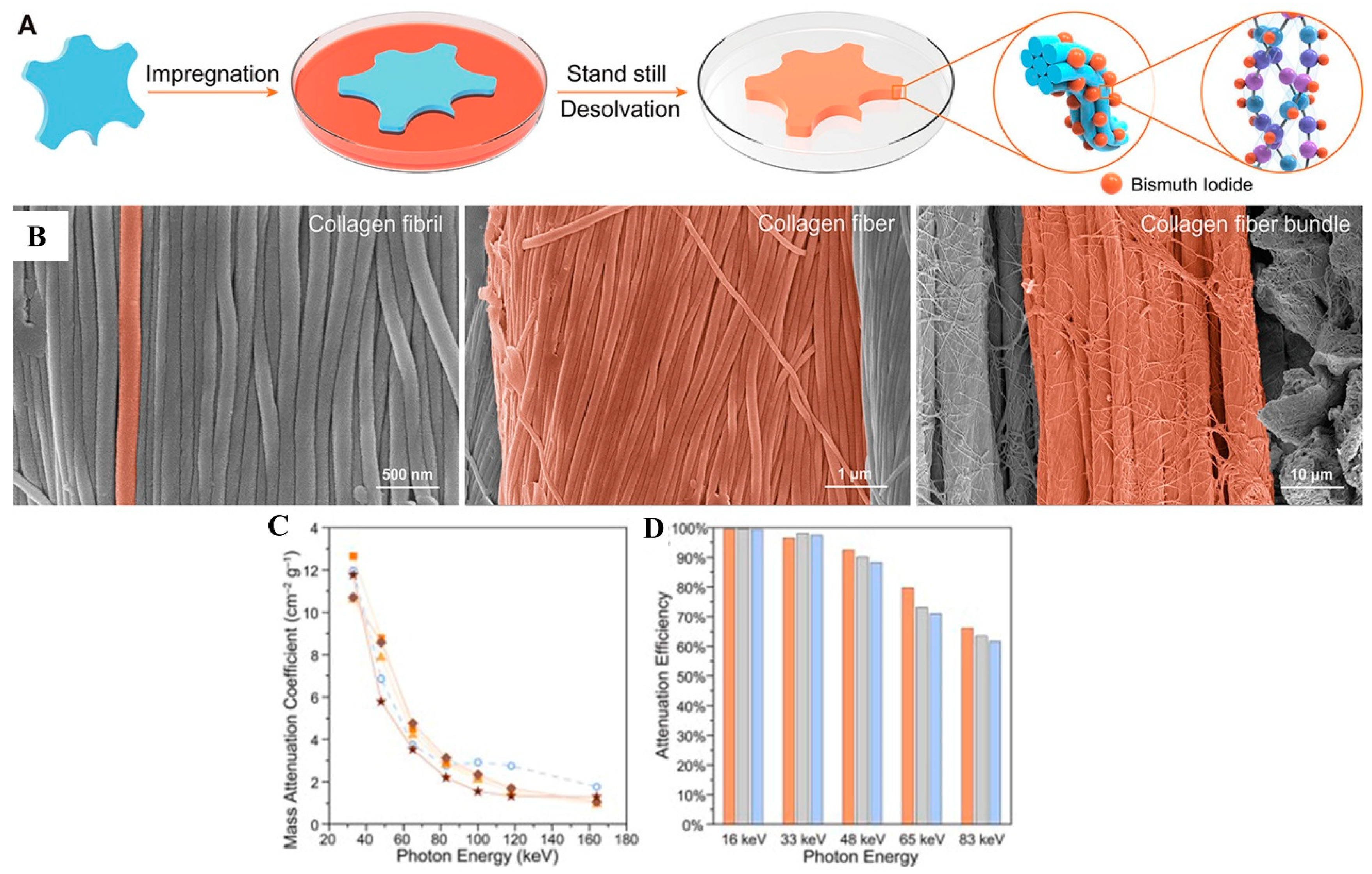 Polymers 16 03274 g004