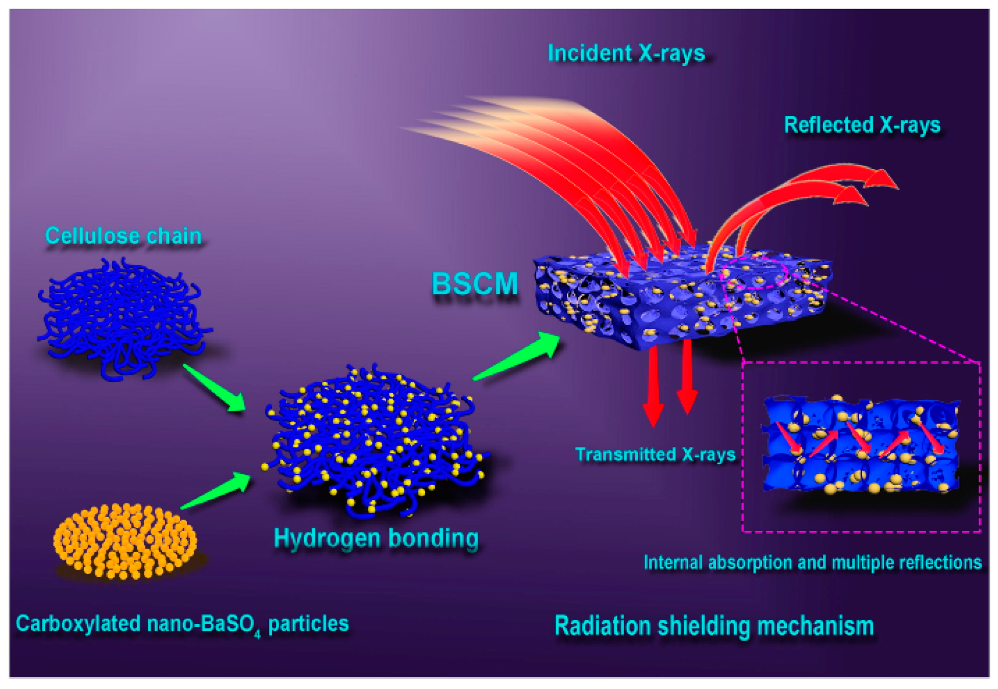 Polymers 16 03274 g005