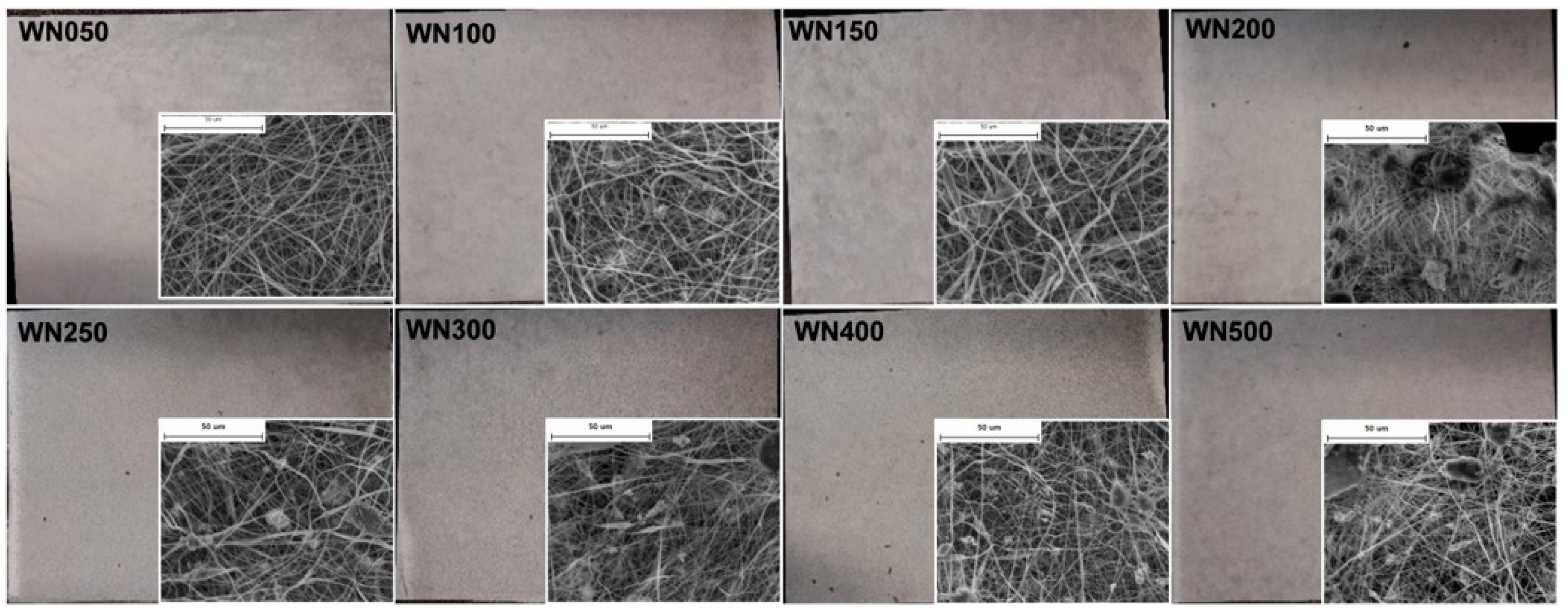 Polymers 16 03274 g007