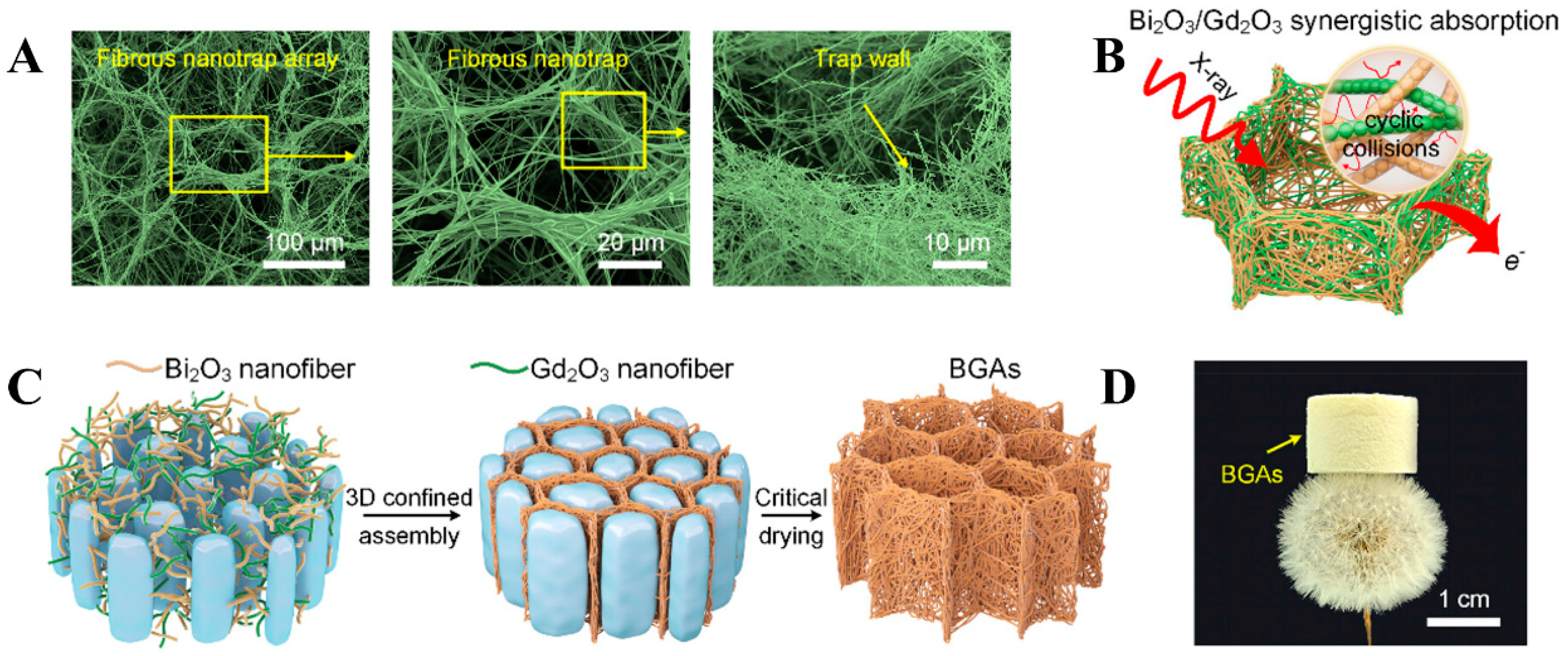 Polymers 16 03274 g008