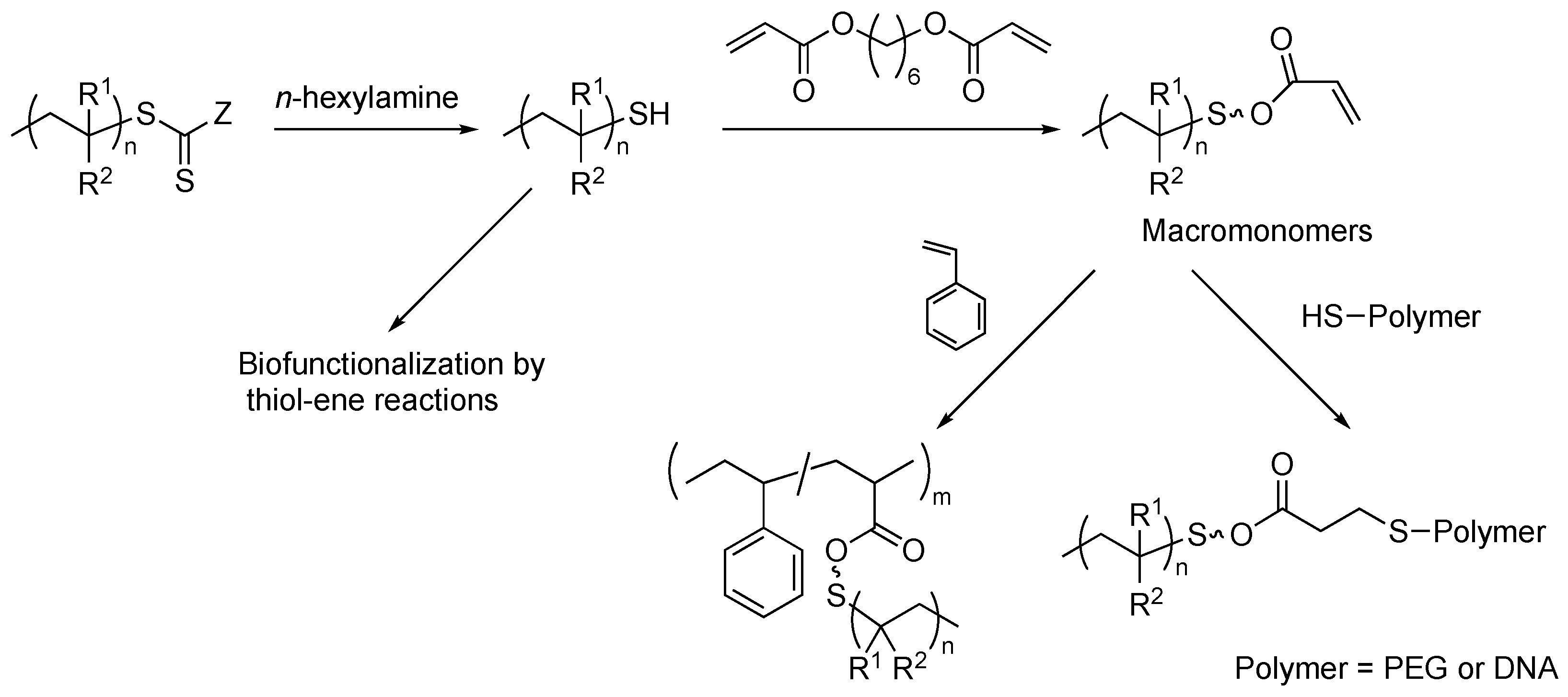 Polymers 16 03275 g017
