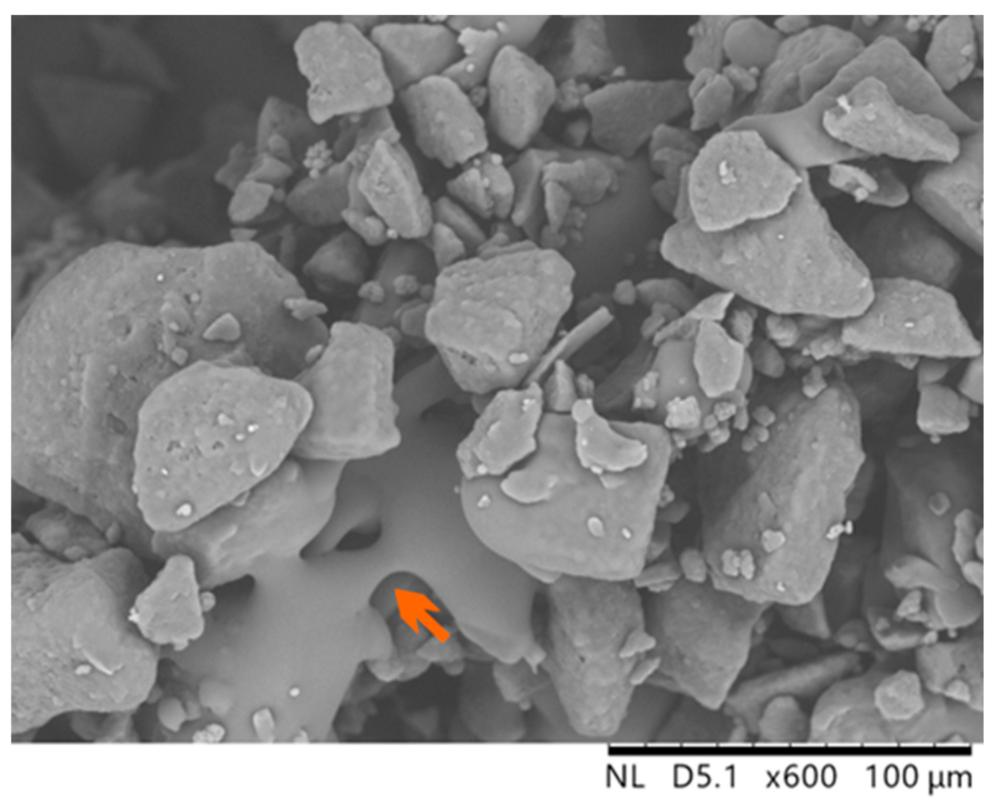 Polymers 16 03278 g011