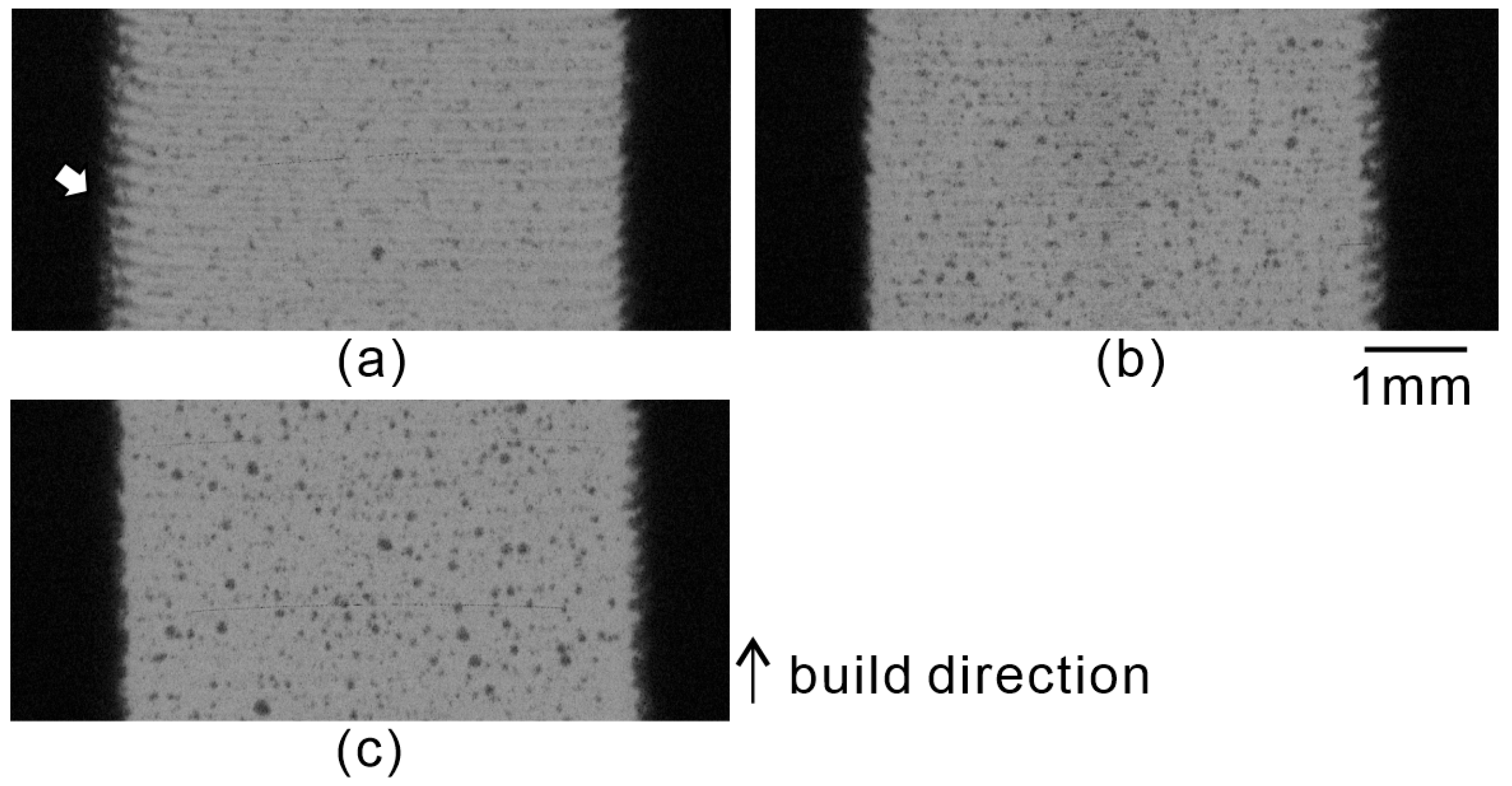 Polymers 16 03278 g017