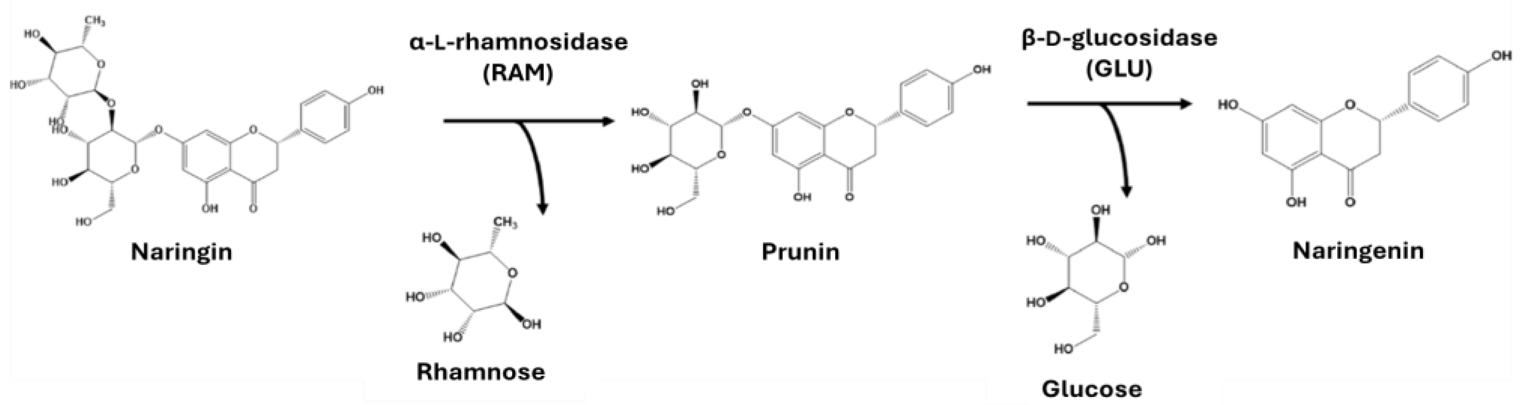 Polymers 16 03279 g001