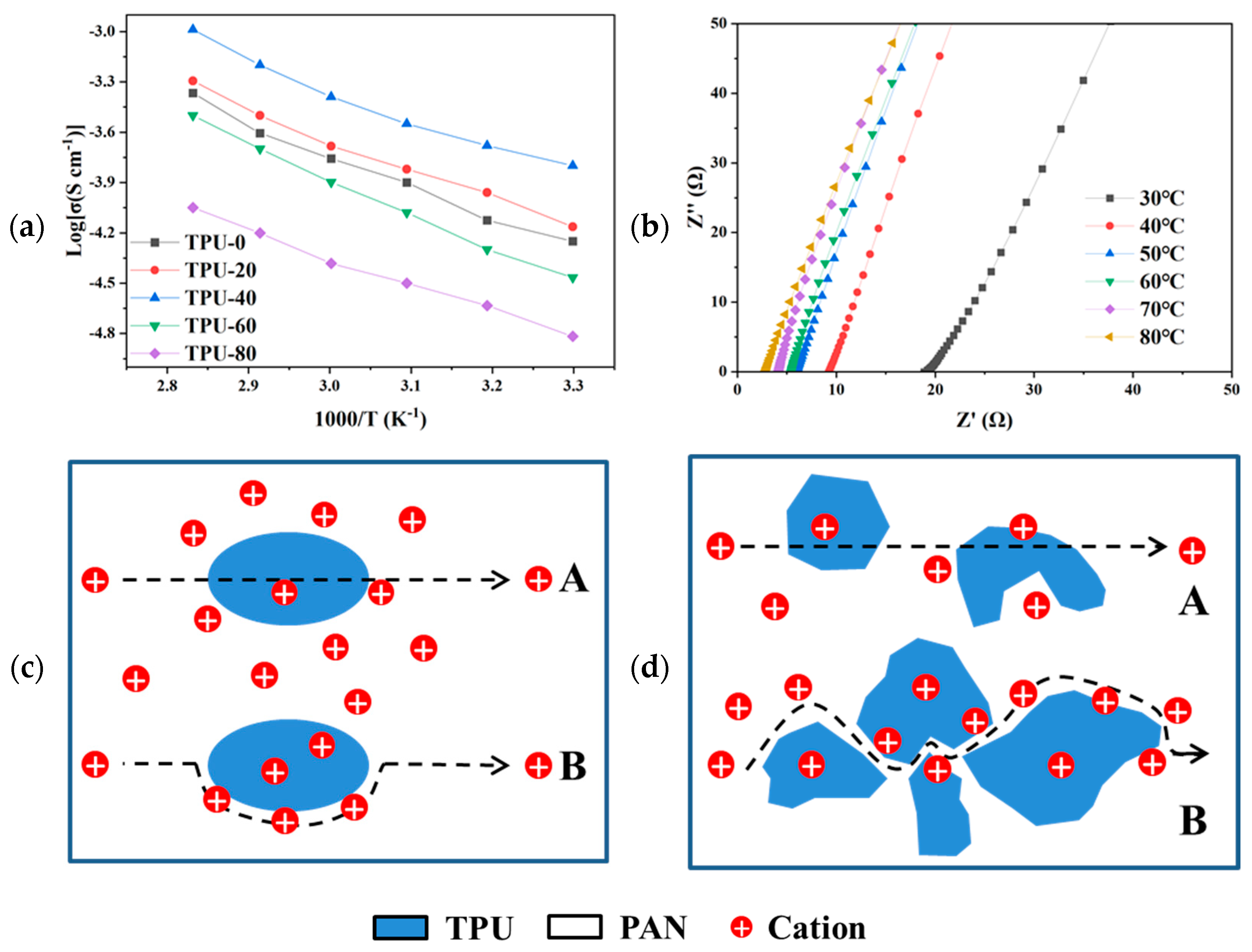 Polymers 16 03280 g005