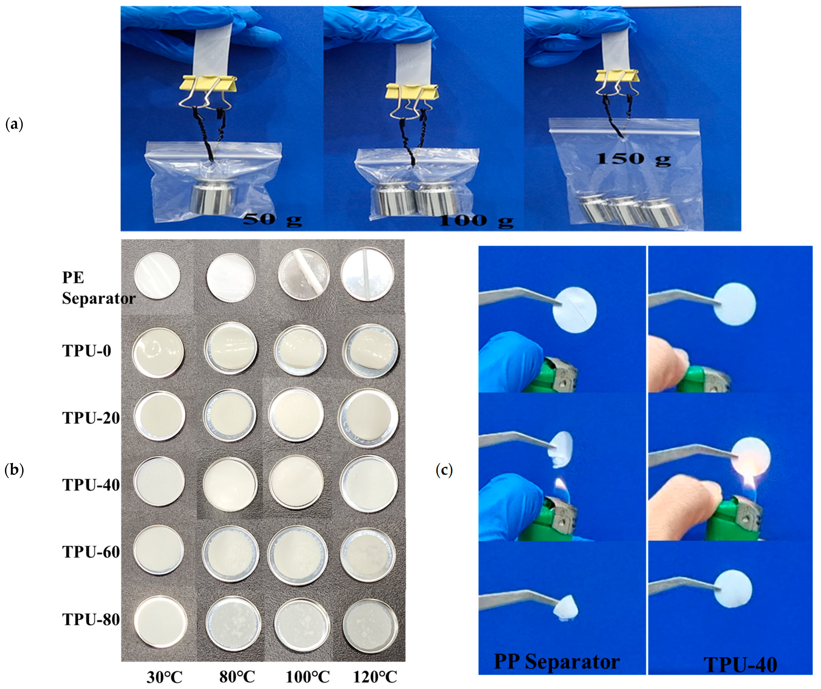 Polymers 16 03280 g007