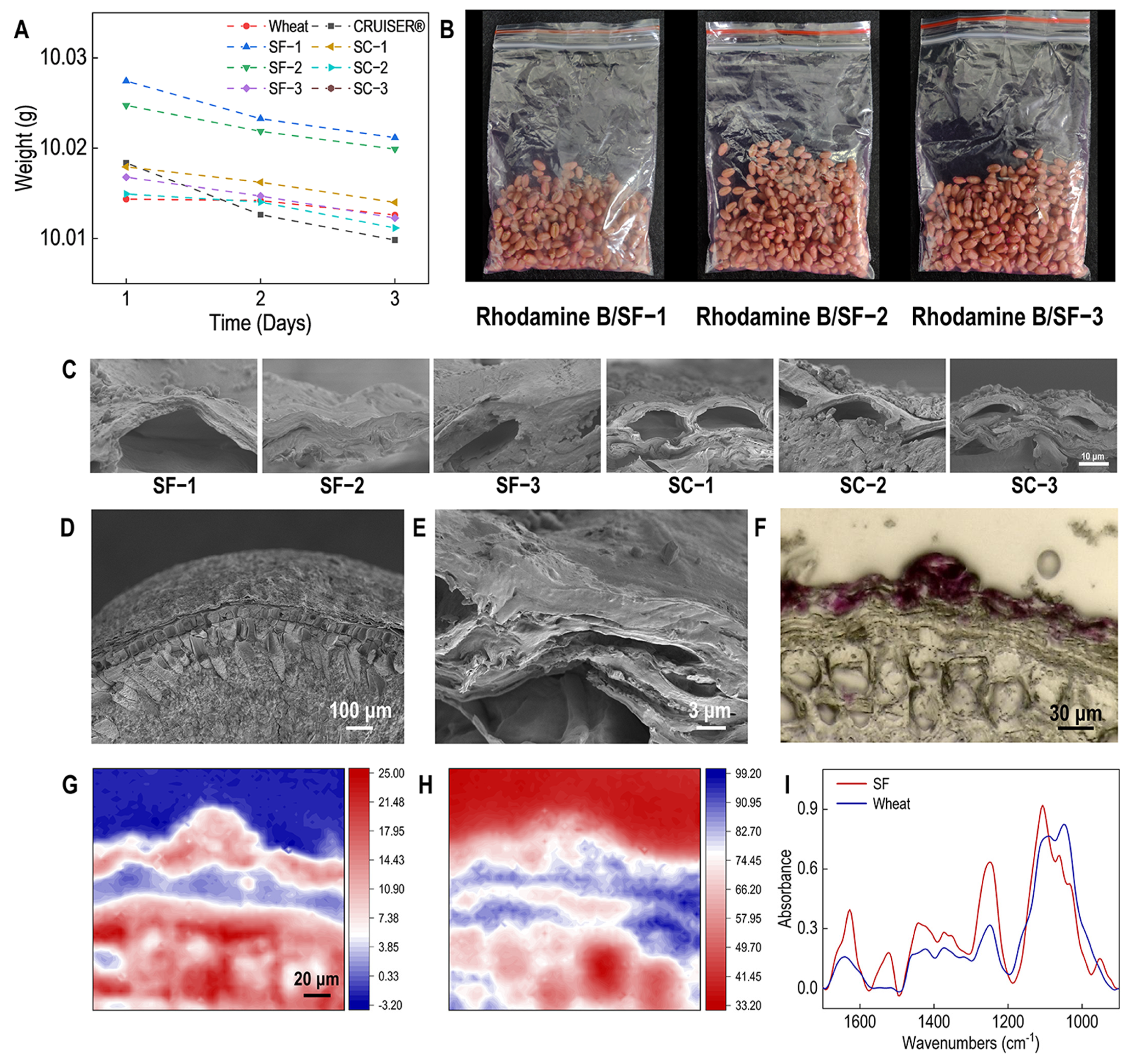 Polymers 16 03281 g002