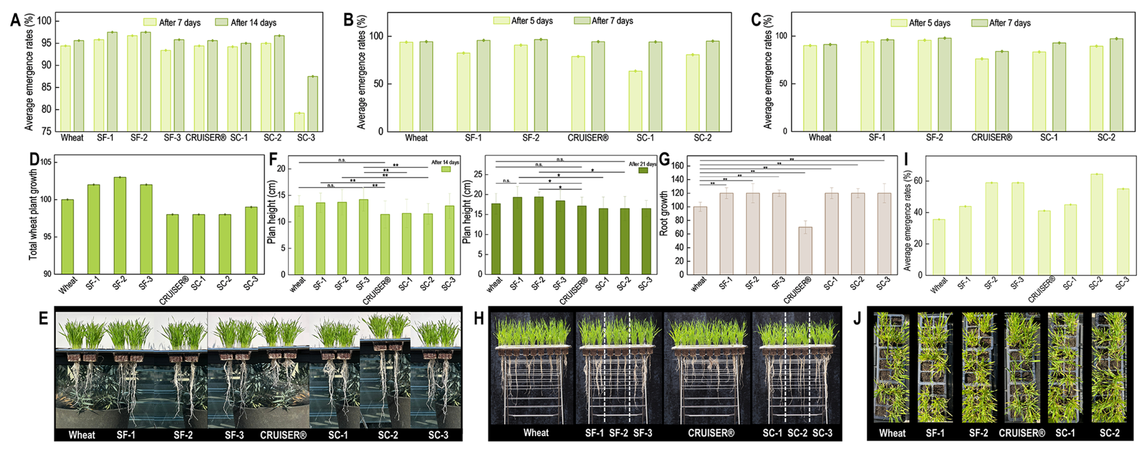Polymers 16 03281 g003