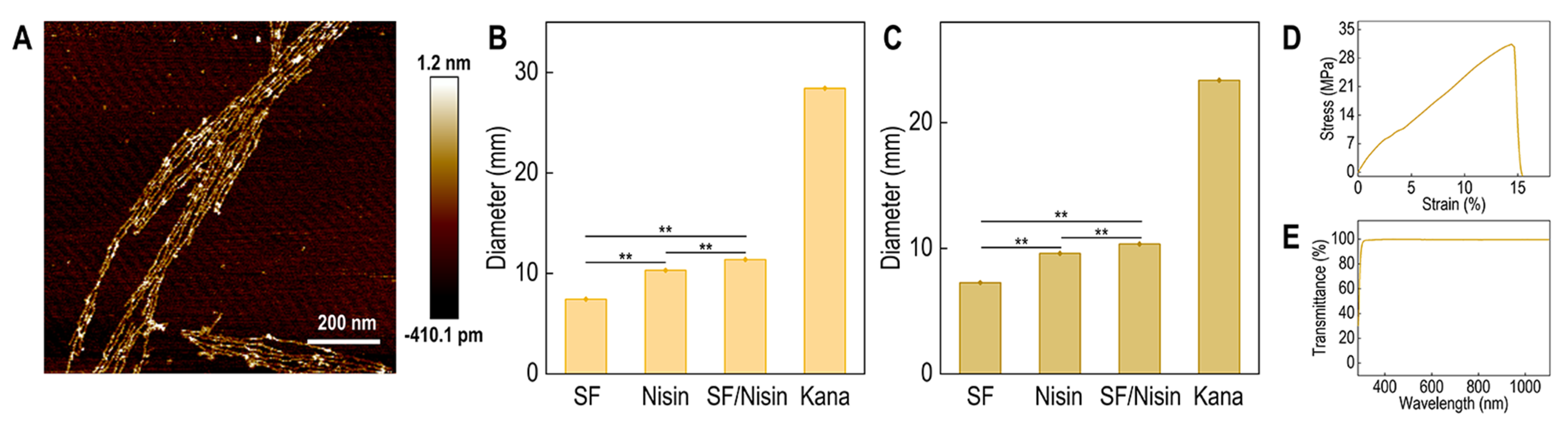 Polymers 16 03281 g004