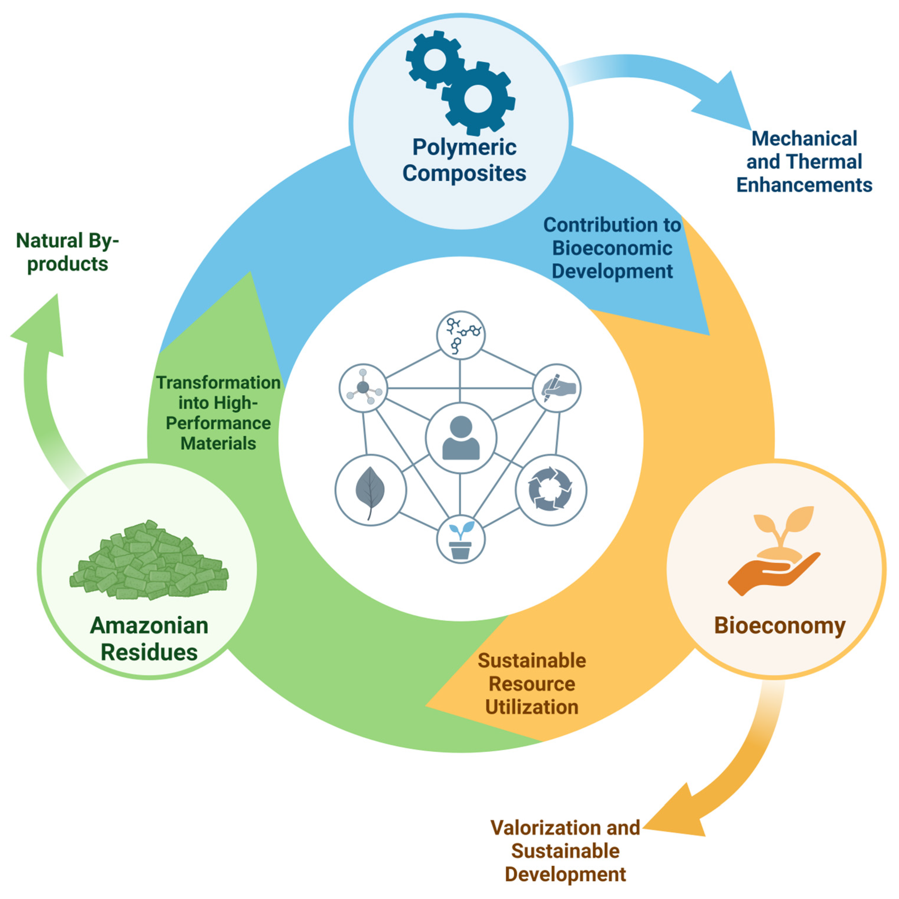 Polymers 16 03282 g001