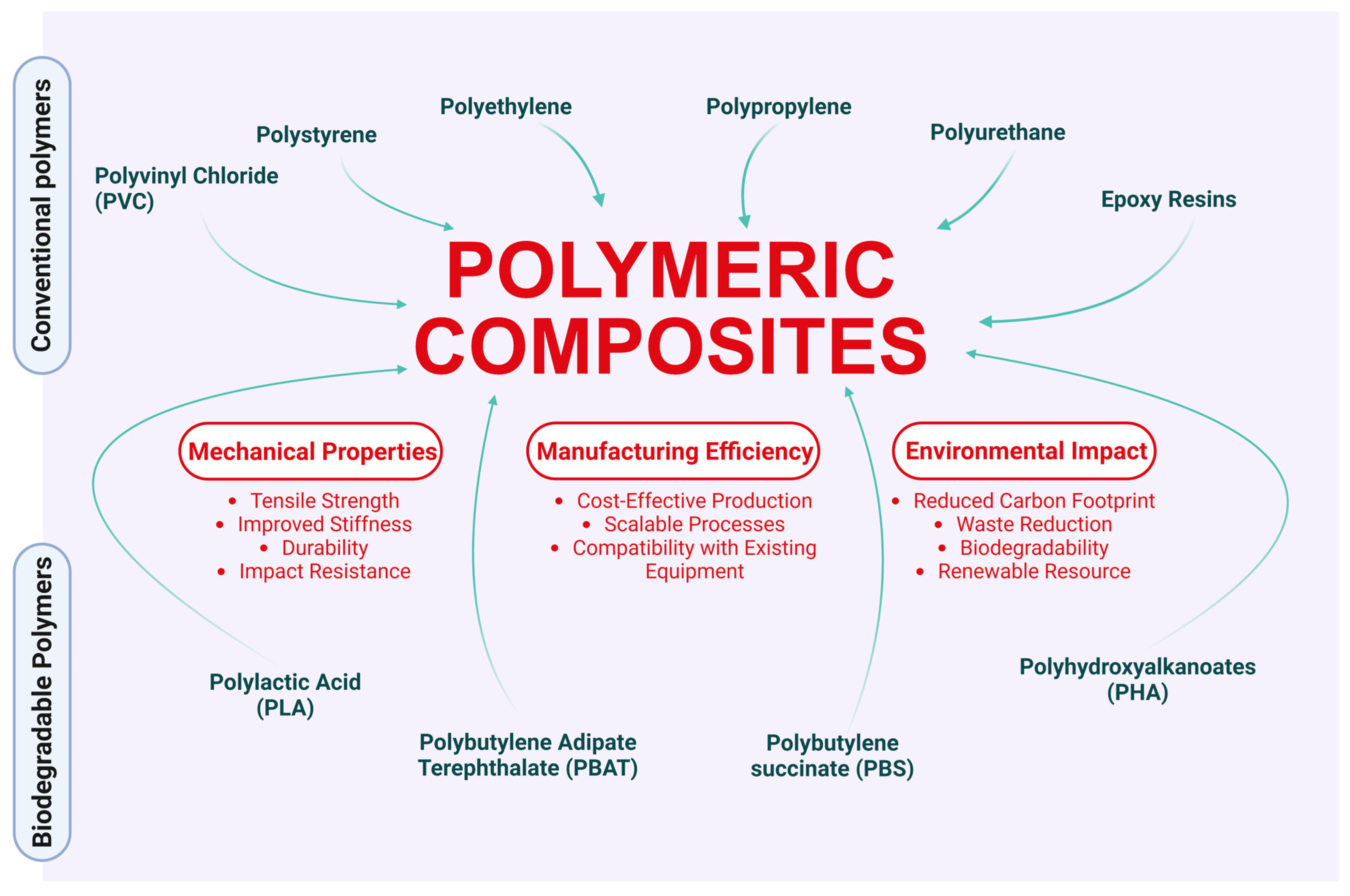 Polymers 16 03282 g002