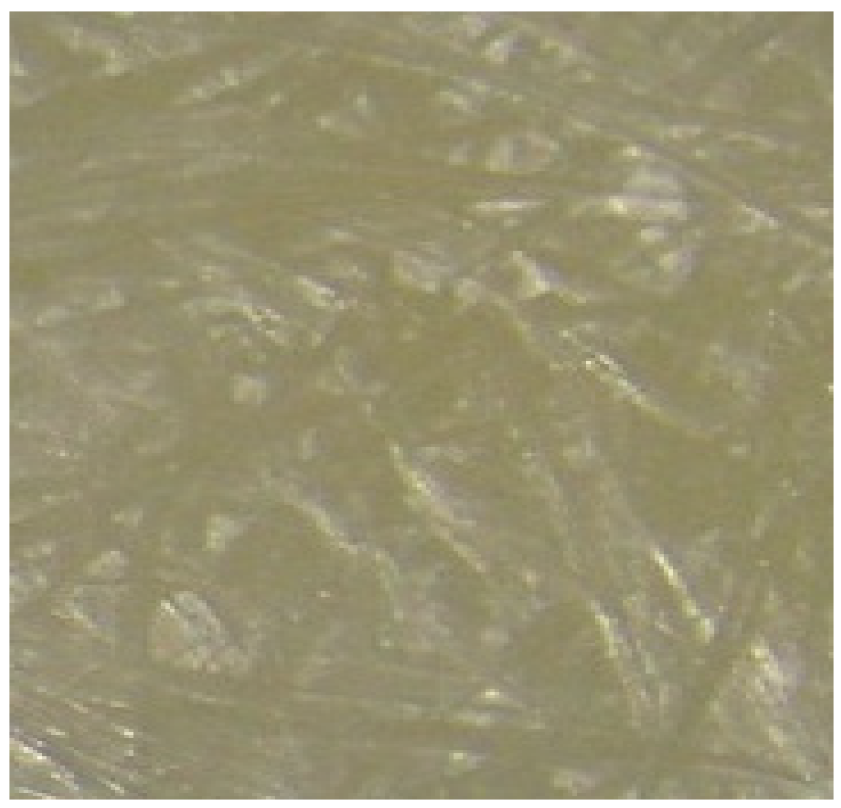 Polymers 16 03283 g001